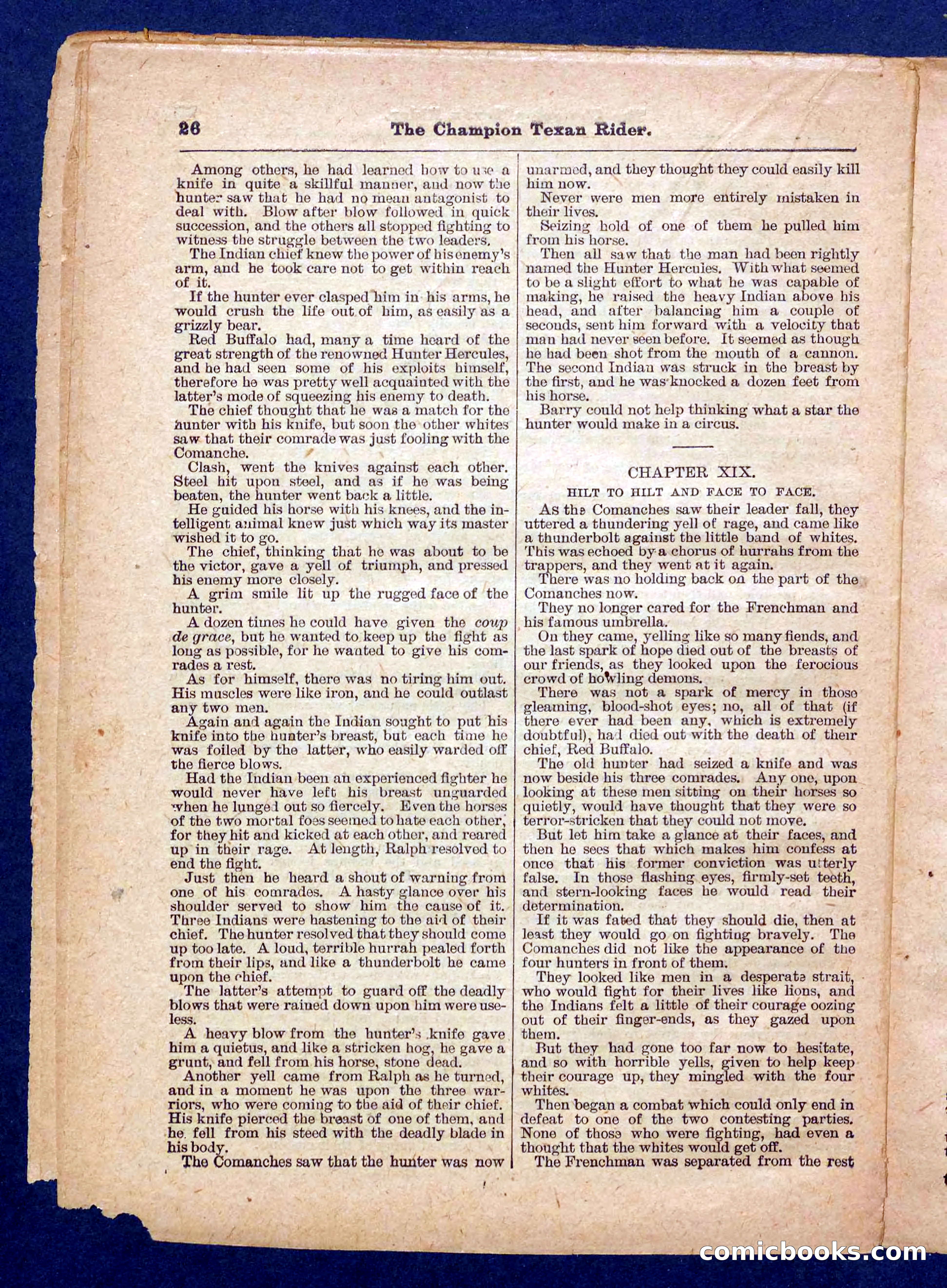 Beadle's Pocket Library No. 458 — page 26 of 32