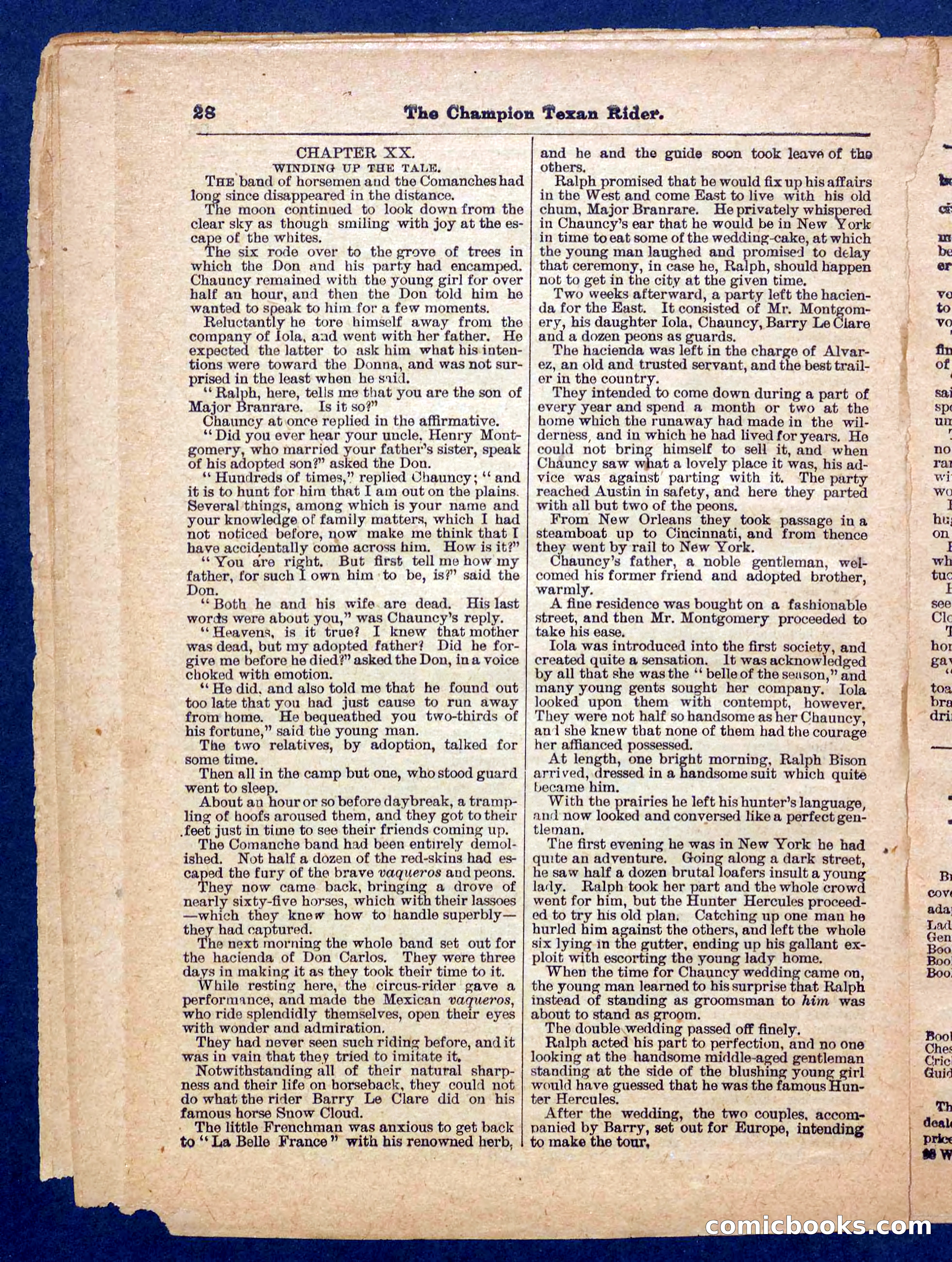 Beadle's Pocket Library No. 458 — page 28 of 32