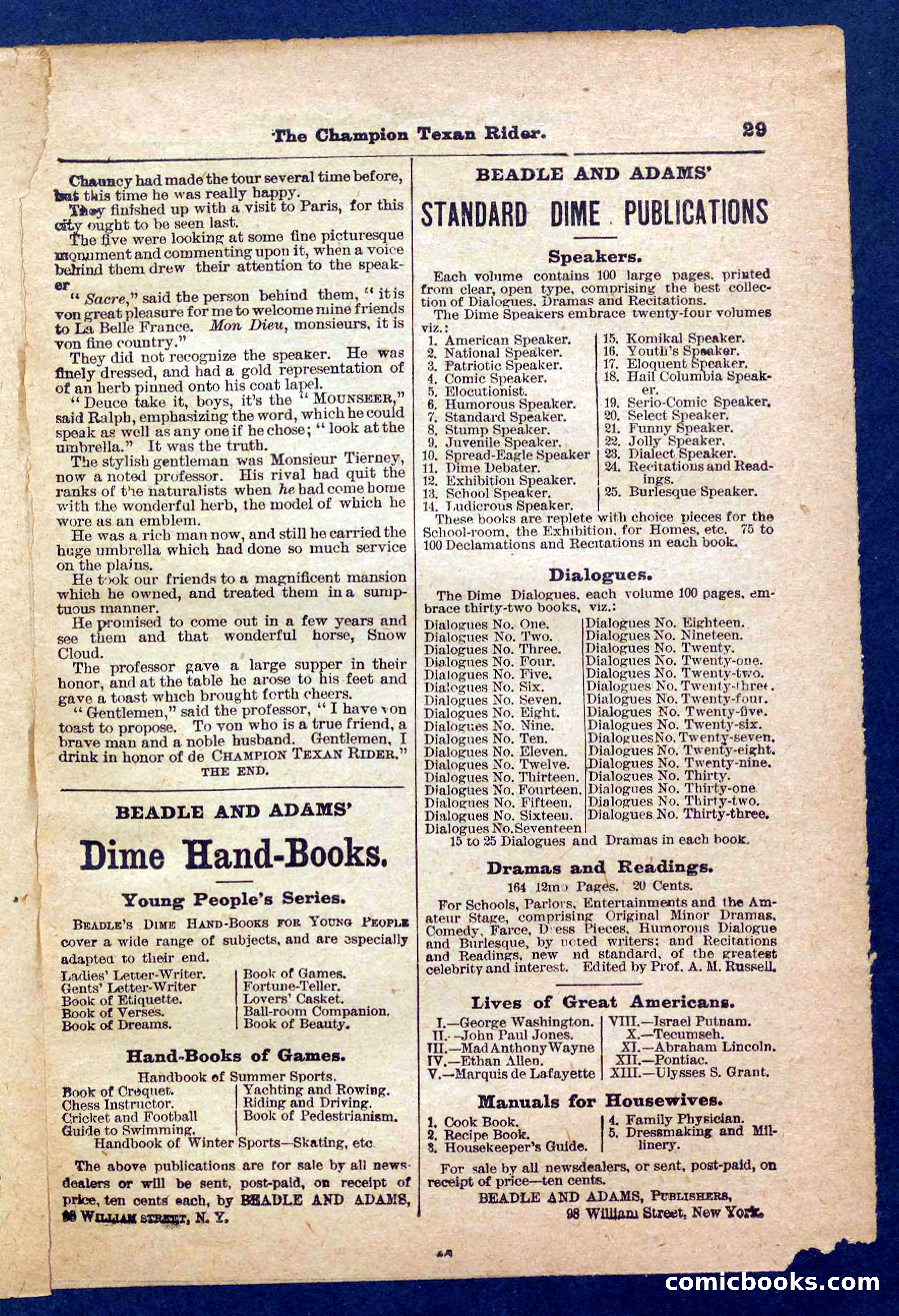Beadle's Pocket Library No. 458 — page 29 of 32