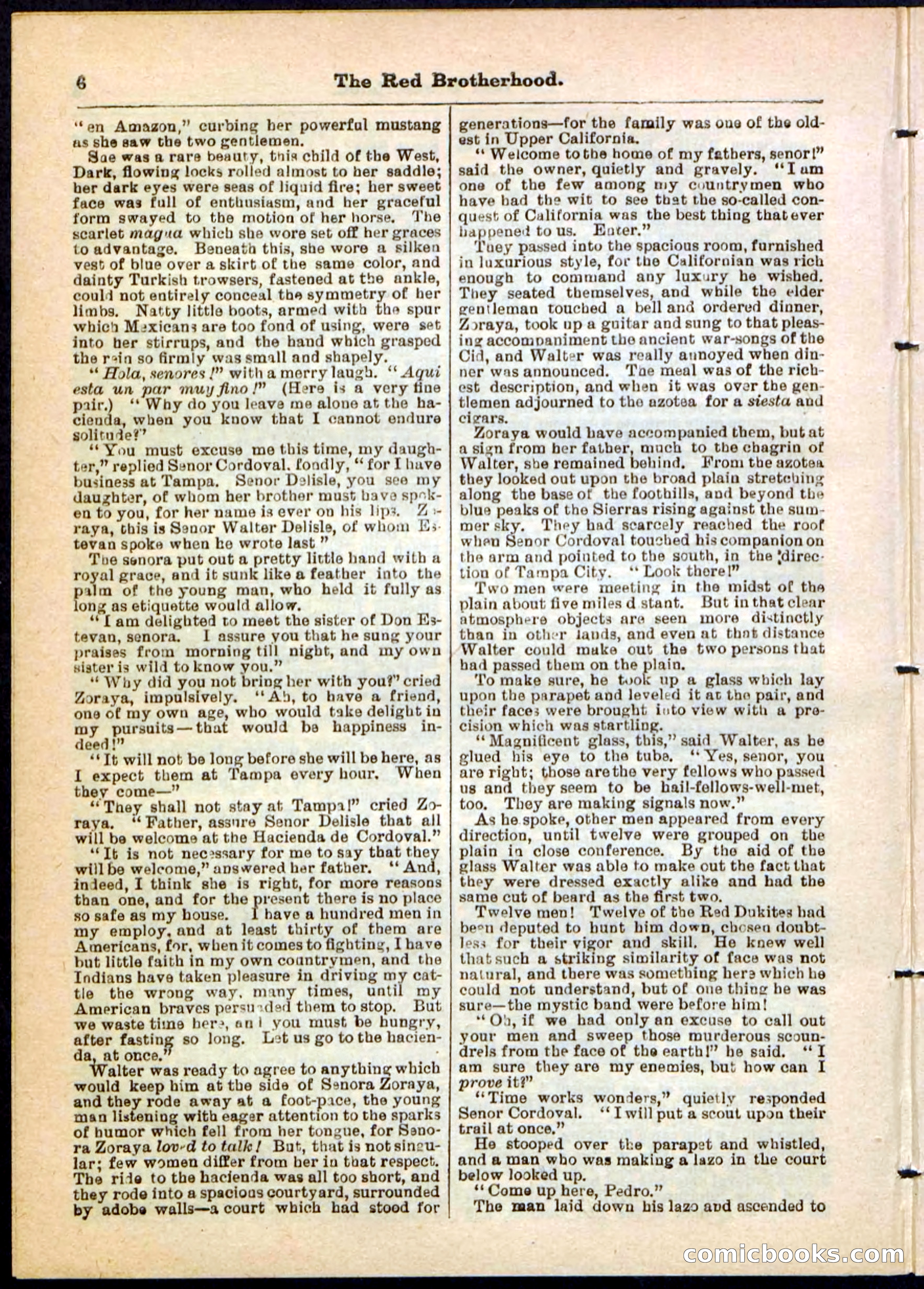 Beadle's Pocket Library No. 47 — page 6 of 32