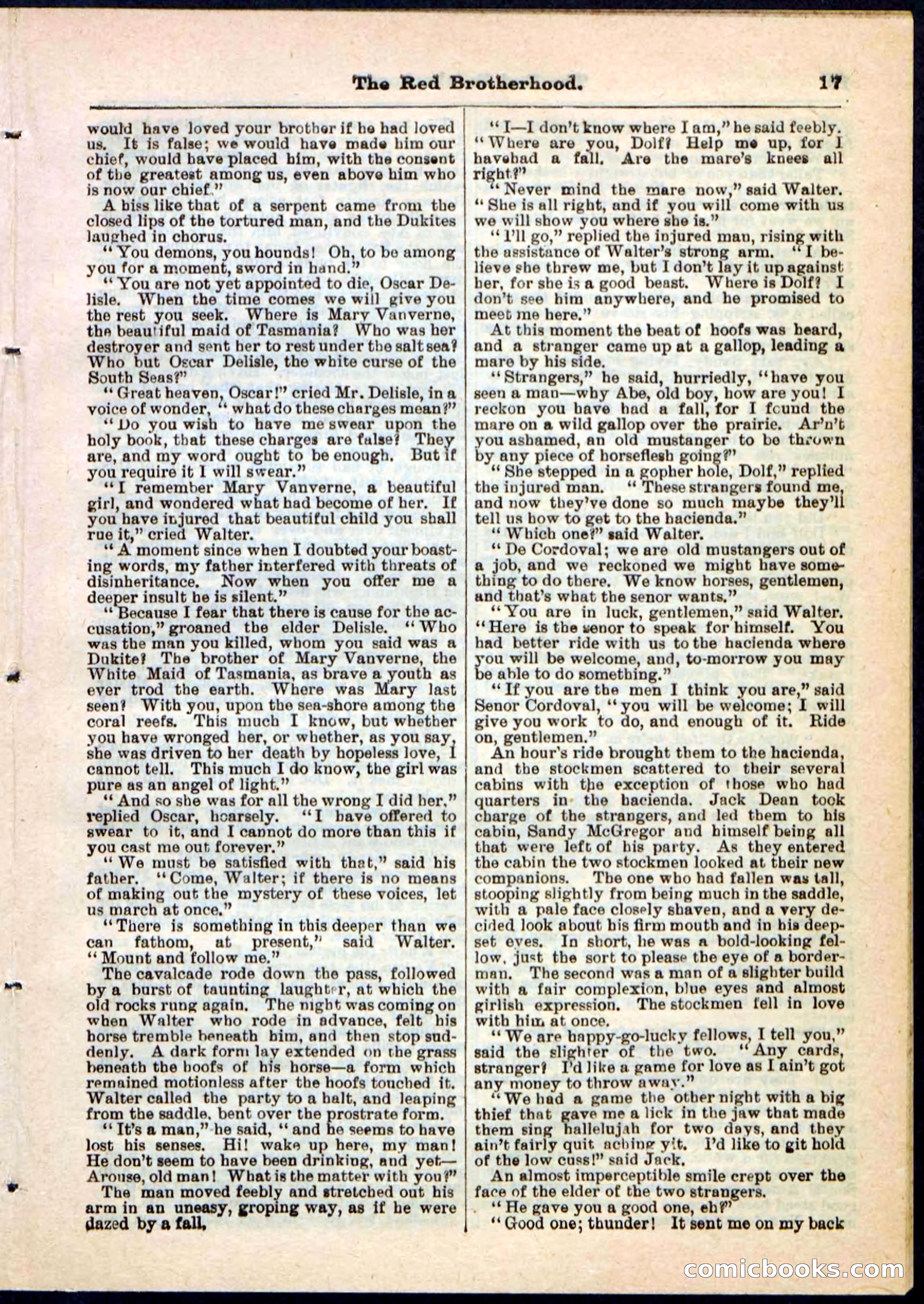 Beadle's Pocket Library No. 47 — page 17 of 32