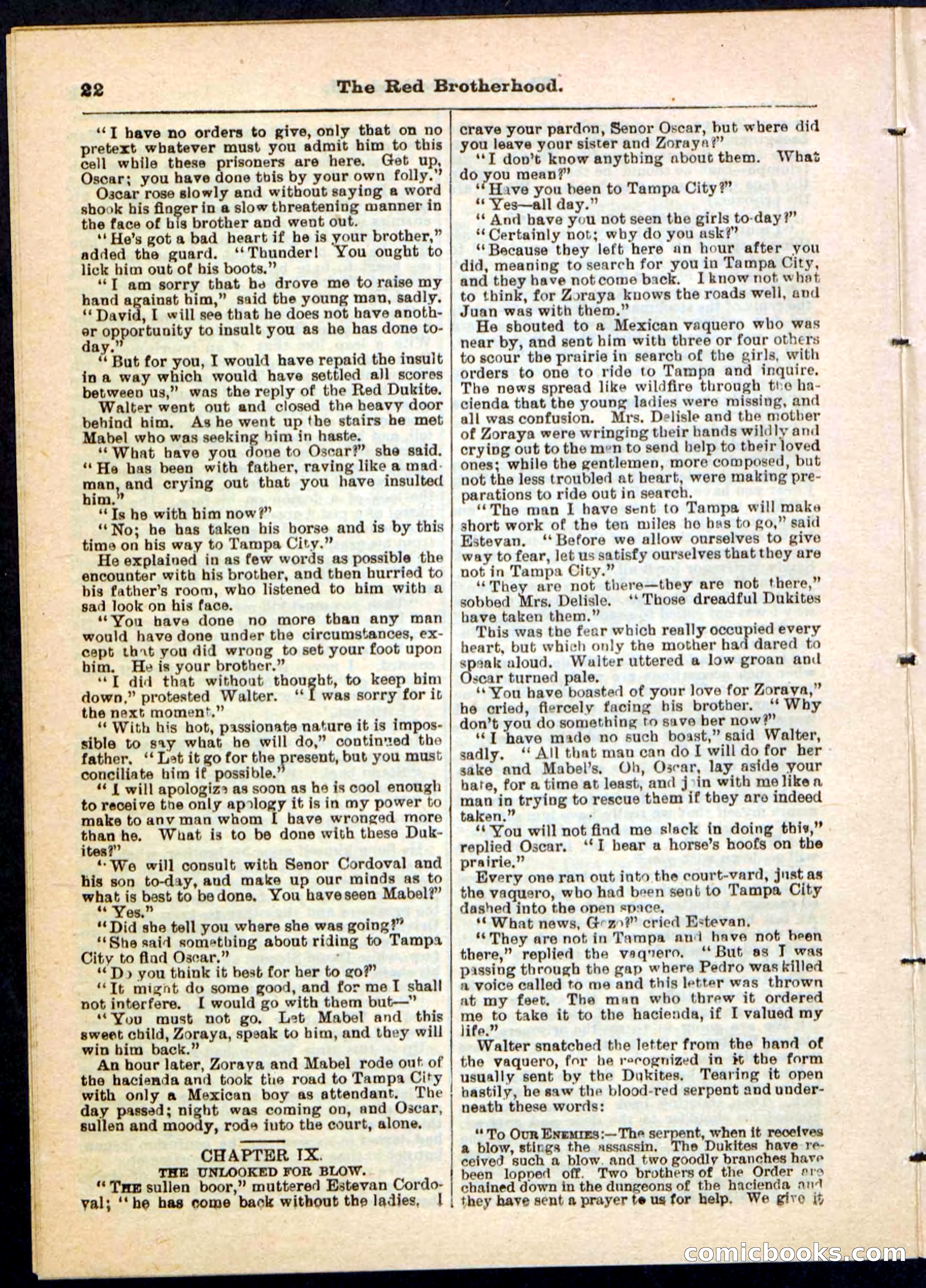 Beadle's Pocket Library No. 47 — page 22 of 32