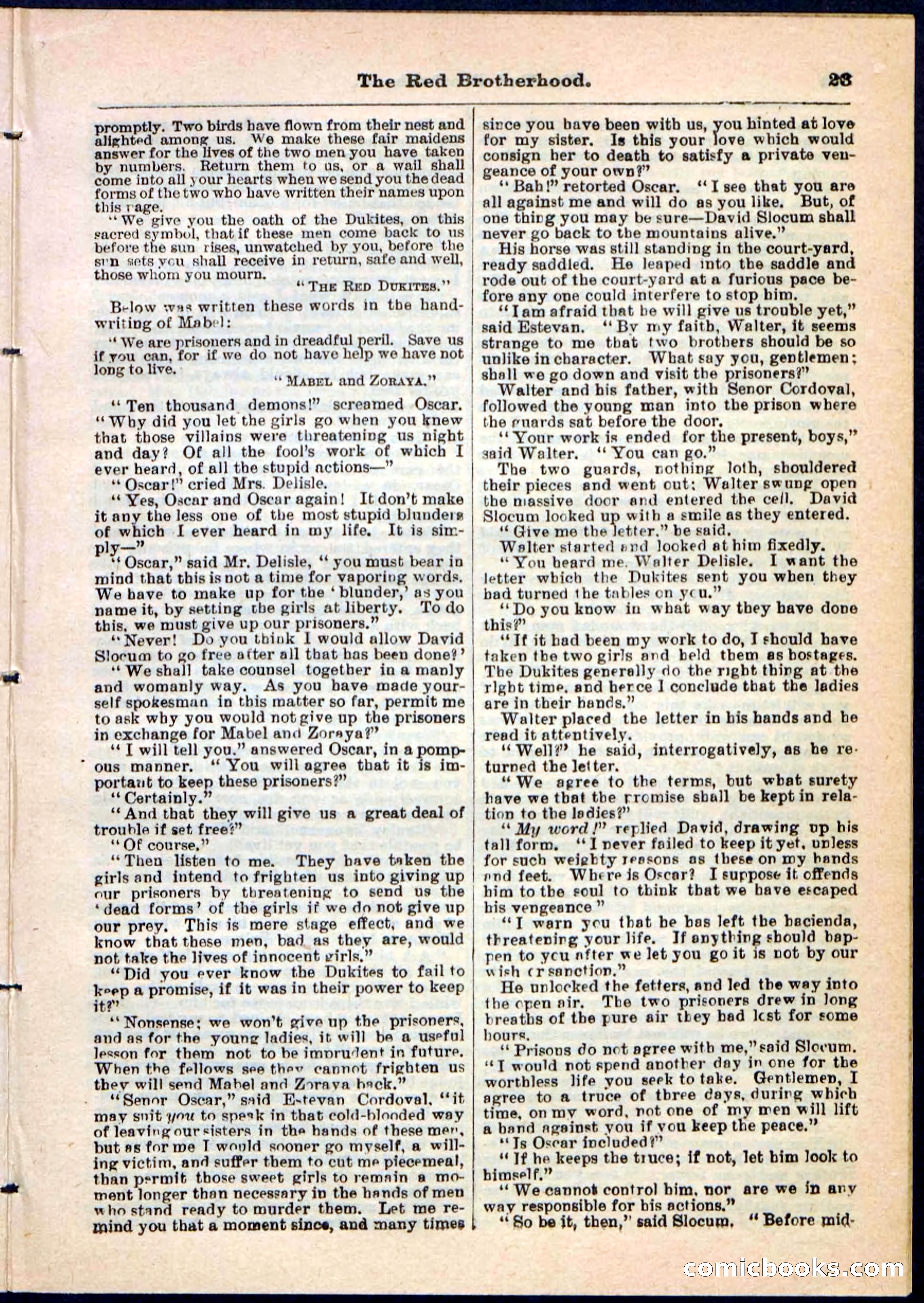 Beadle's Pocket Library No. 47 — page 23 of 32