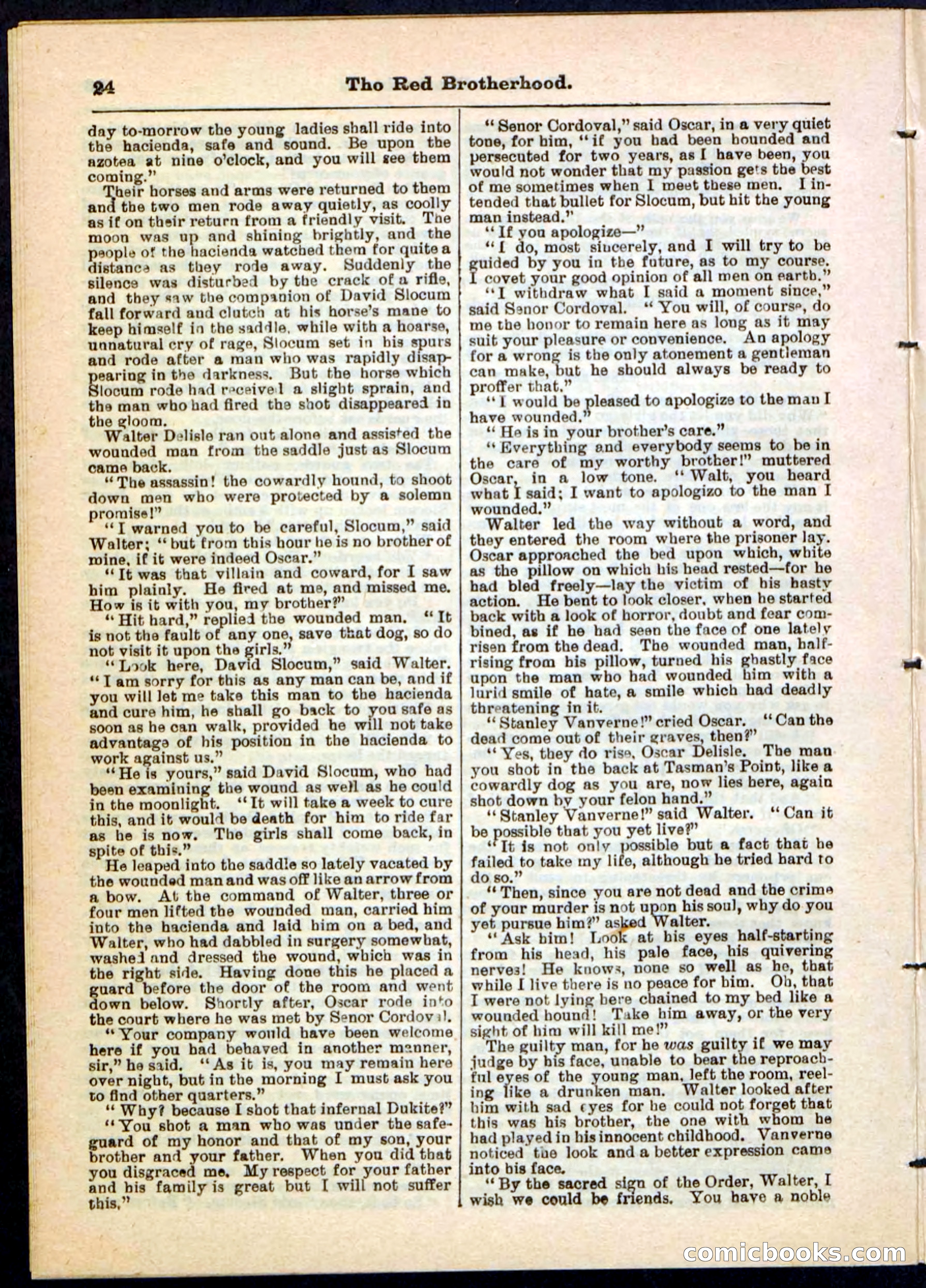 Beadle's Pocket Library No. 47 — page 24 of 32
