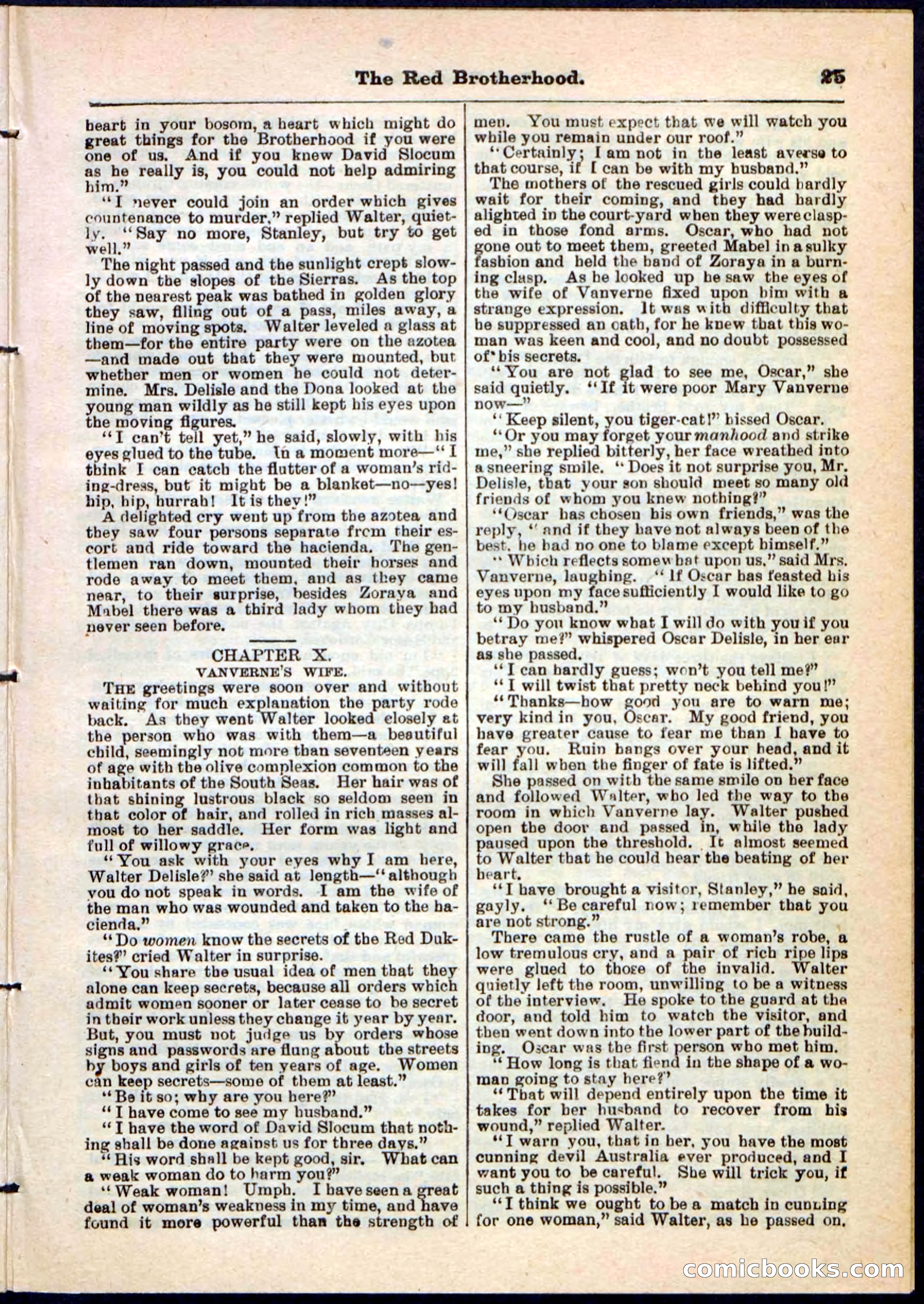 Beadle's Pocket Library No. 47 — page 25 of 32