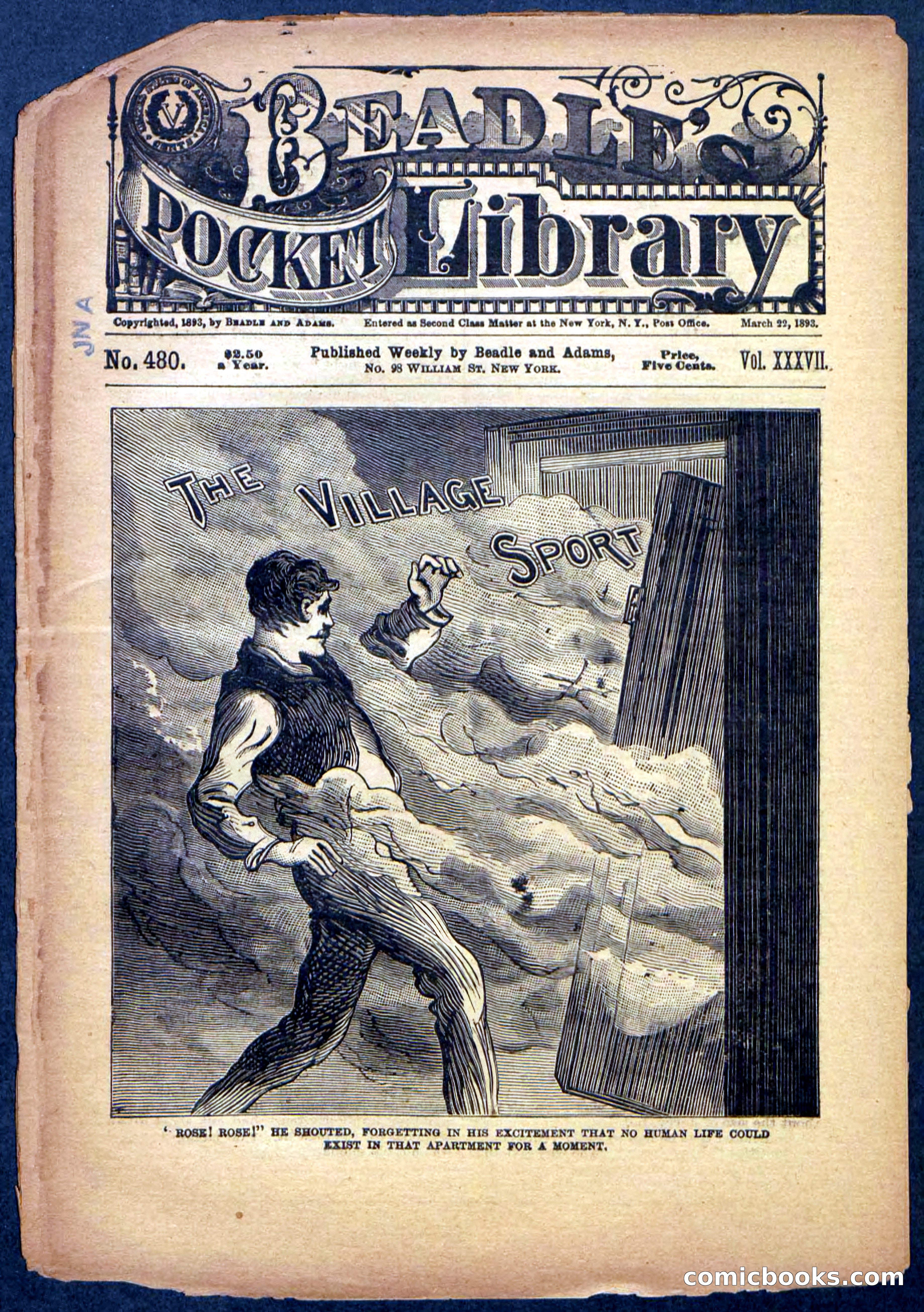 Beadle's Pocket Library No. 480 — page 1 of 32