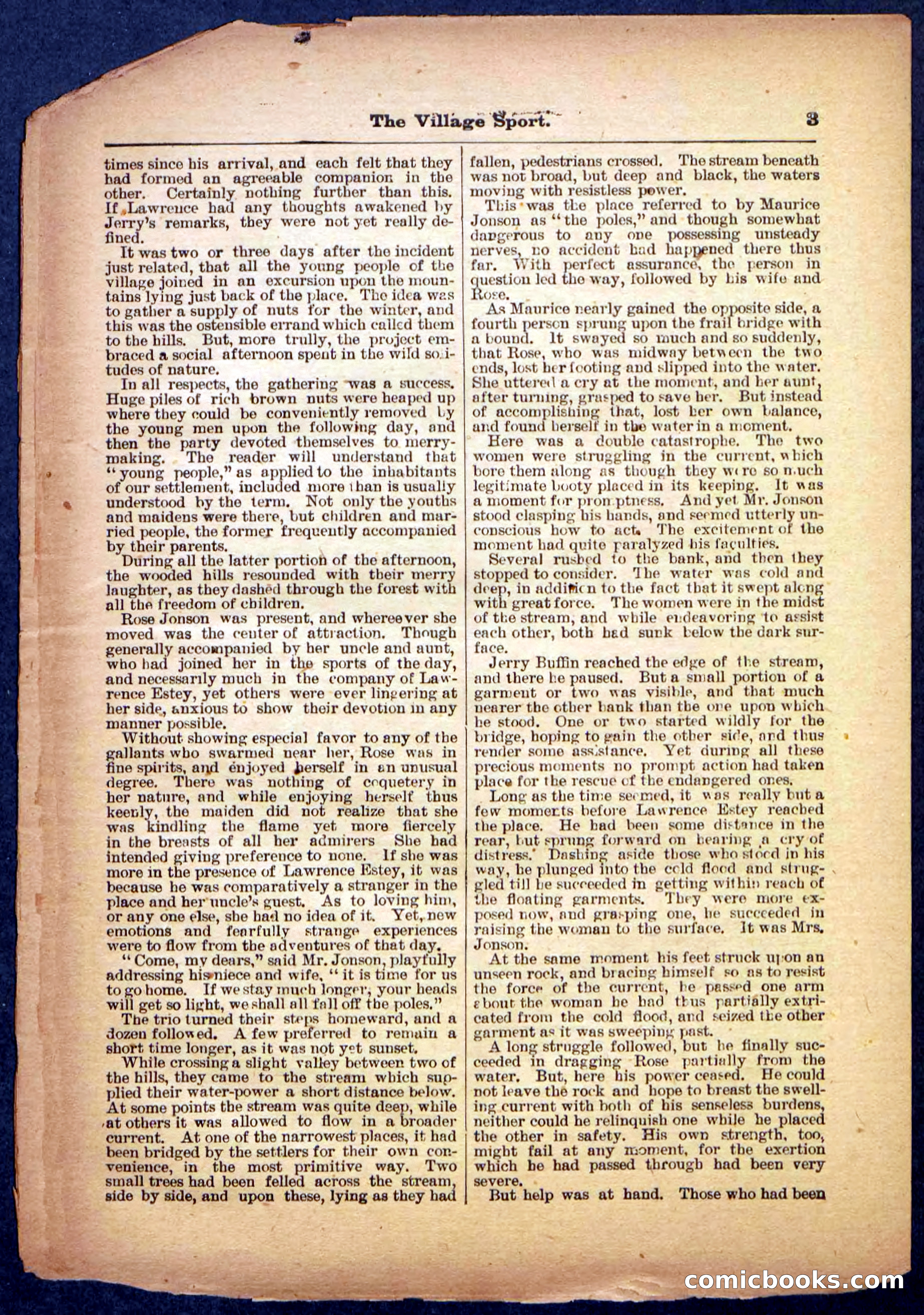 Beadle's Pocket Library No. 480 — page 3 of 32