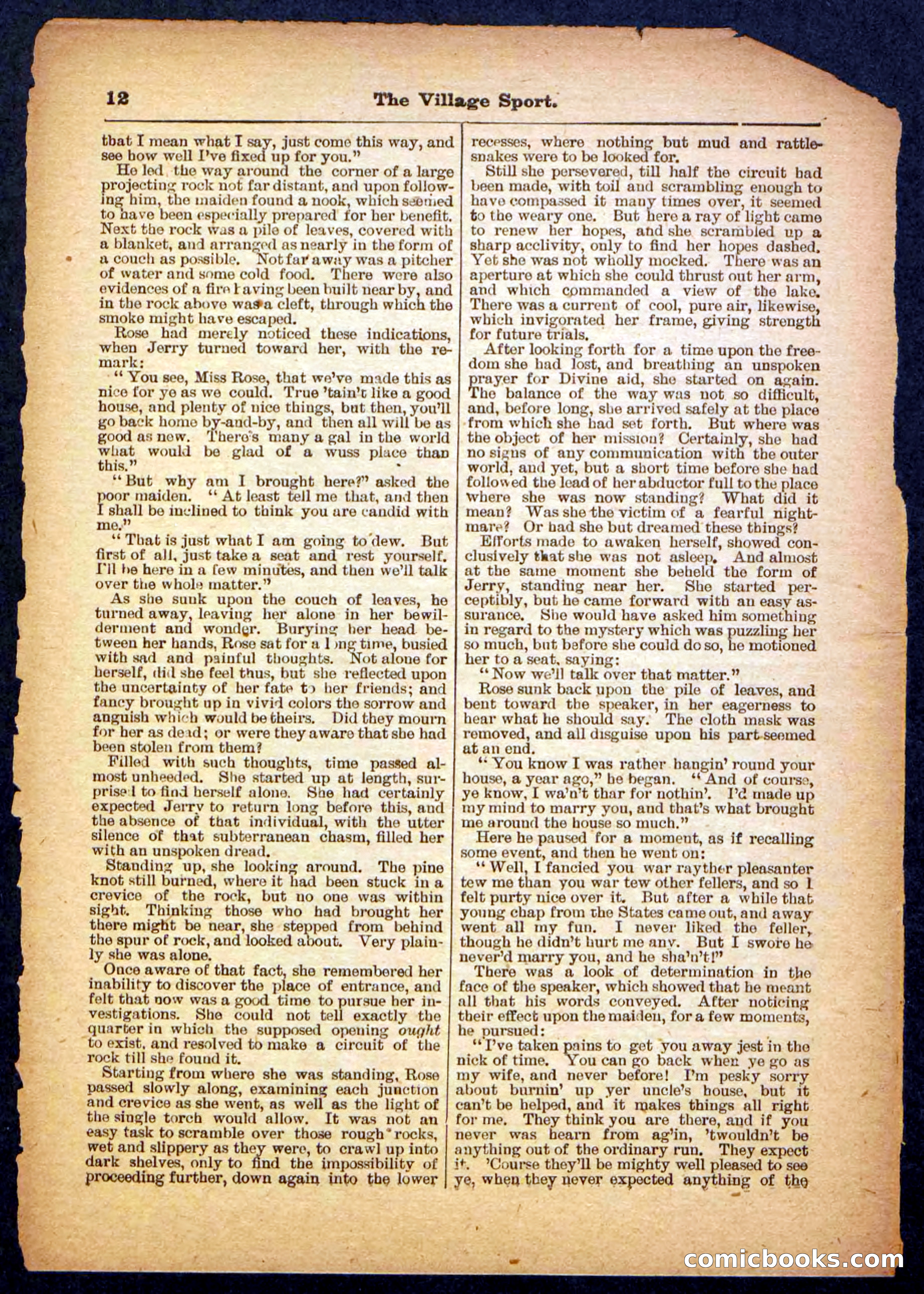 Beadle's Pocket Library No. 480 — page 12 of 32