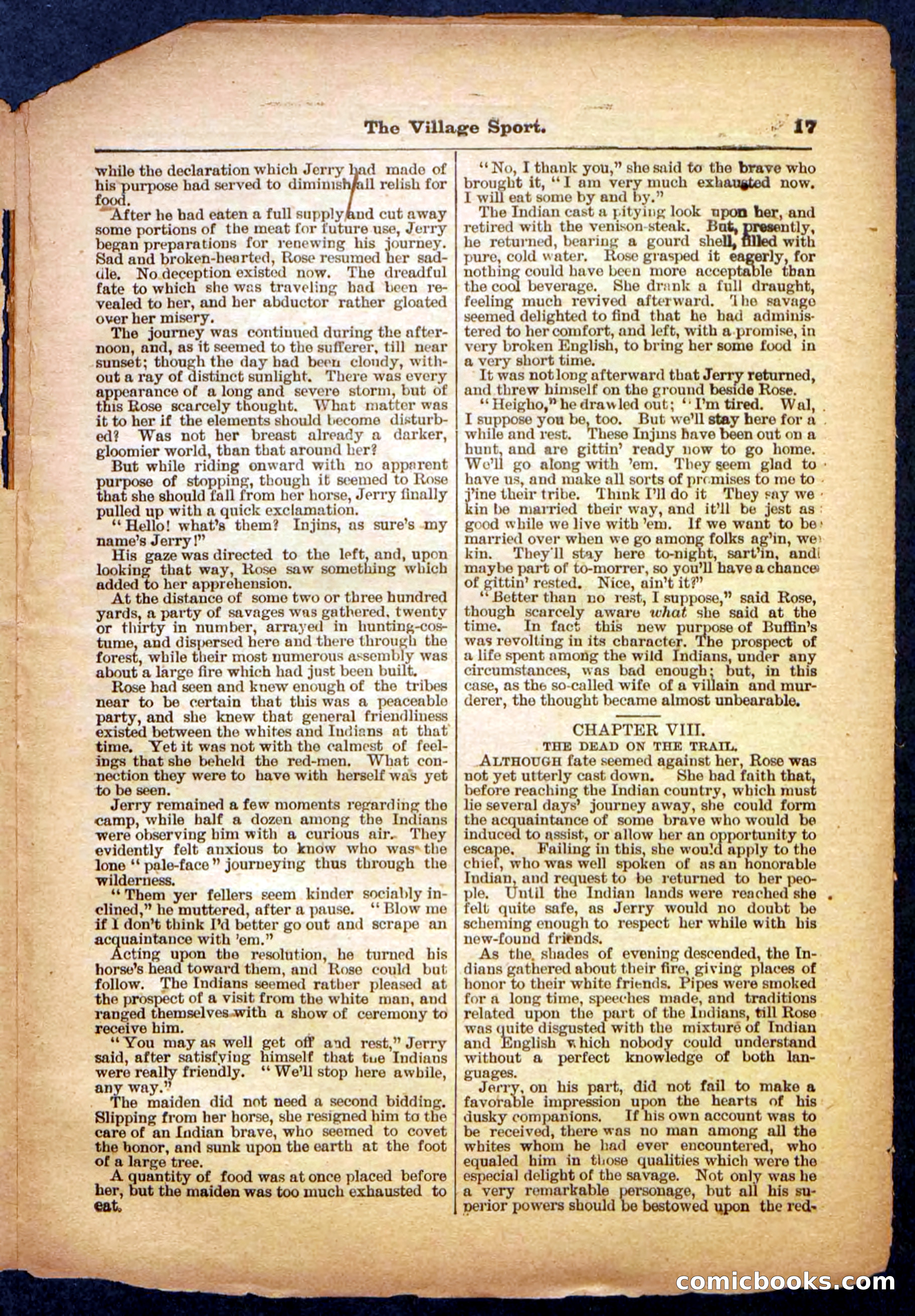Beadle's Pocket Library No. 480 — page 17 of 32
