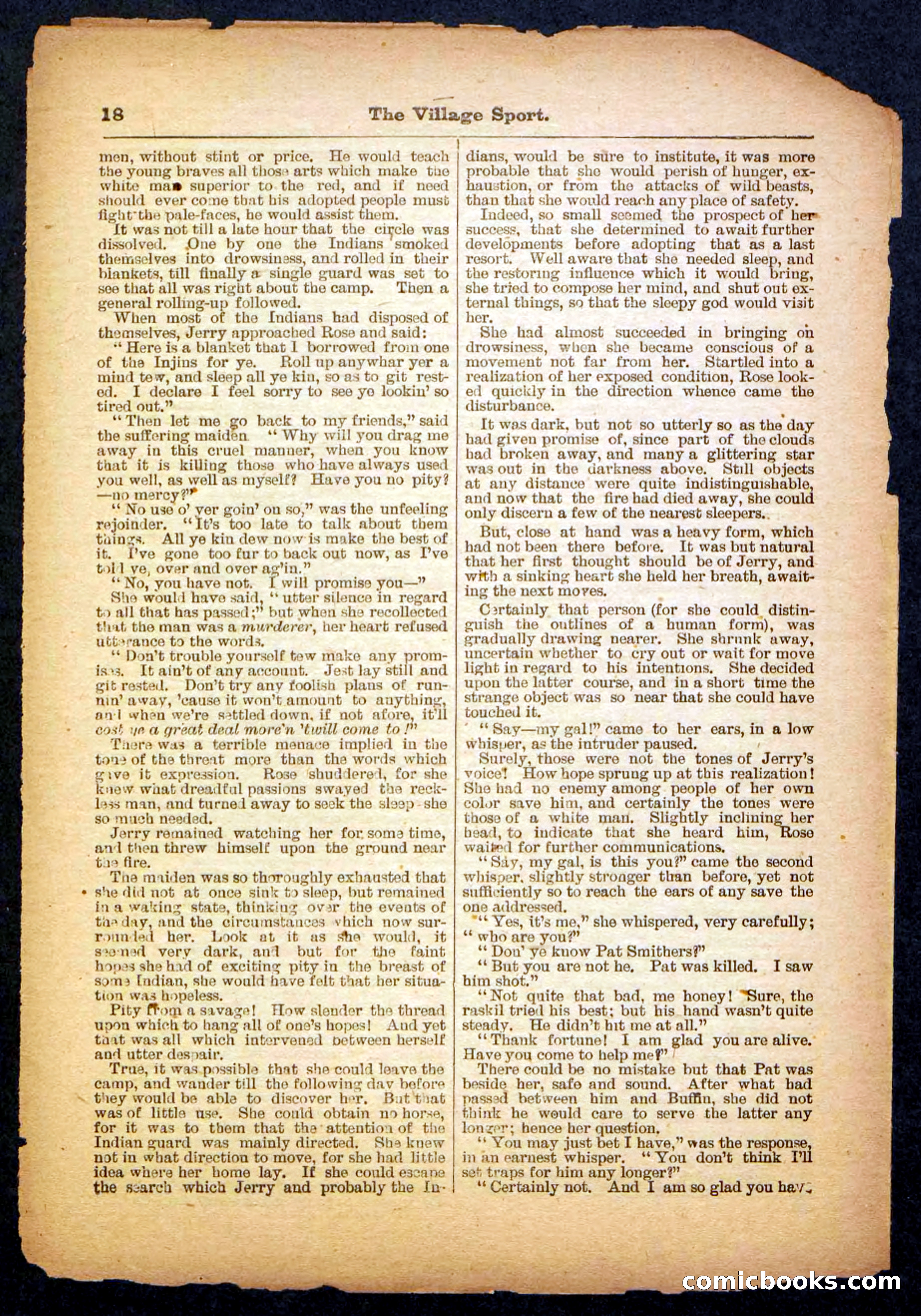 Beadle's Pocket Library No. 480 — page 18 of 32
