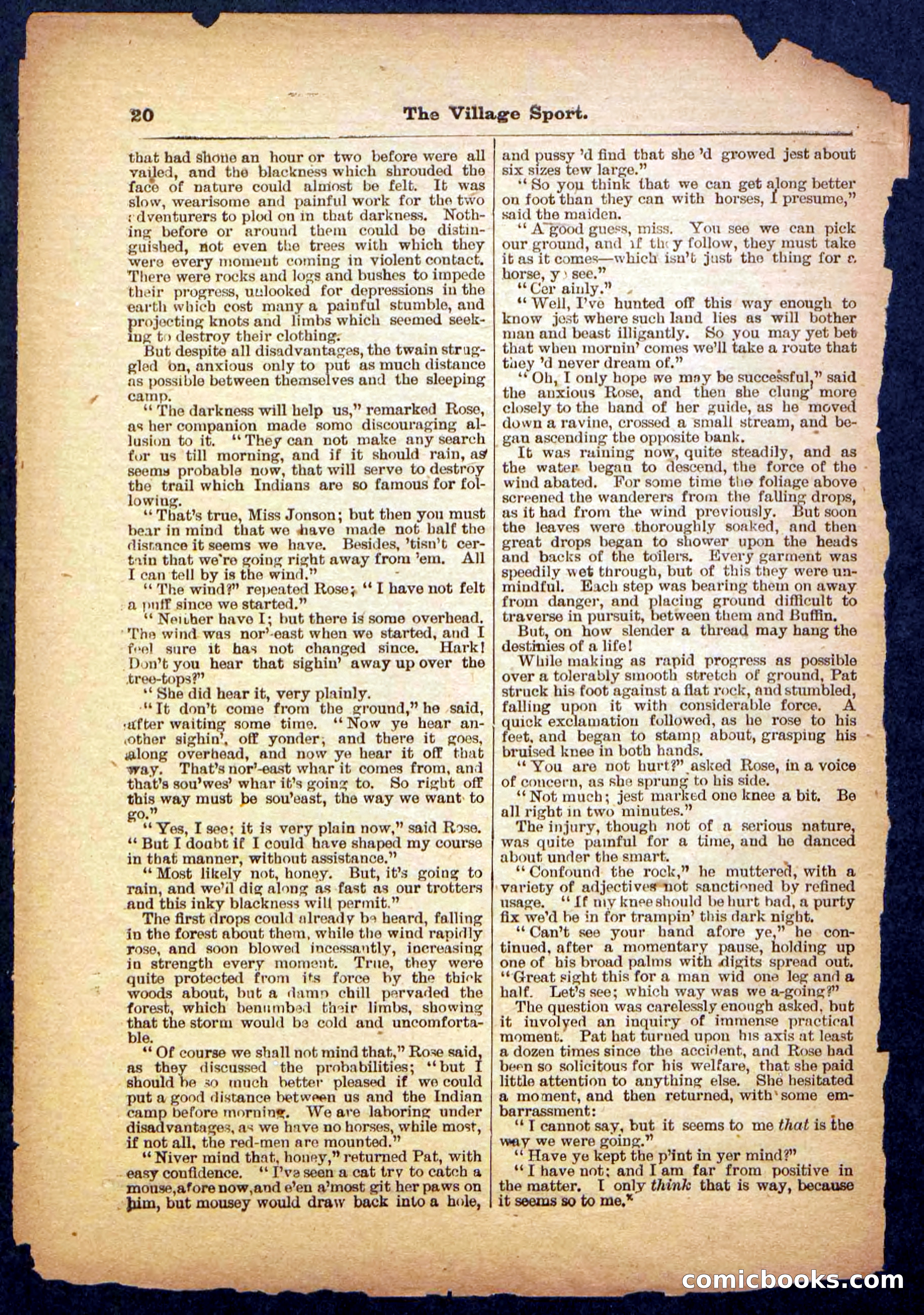 Beadle's Pocket Library No. 480 — page 20 of 32