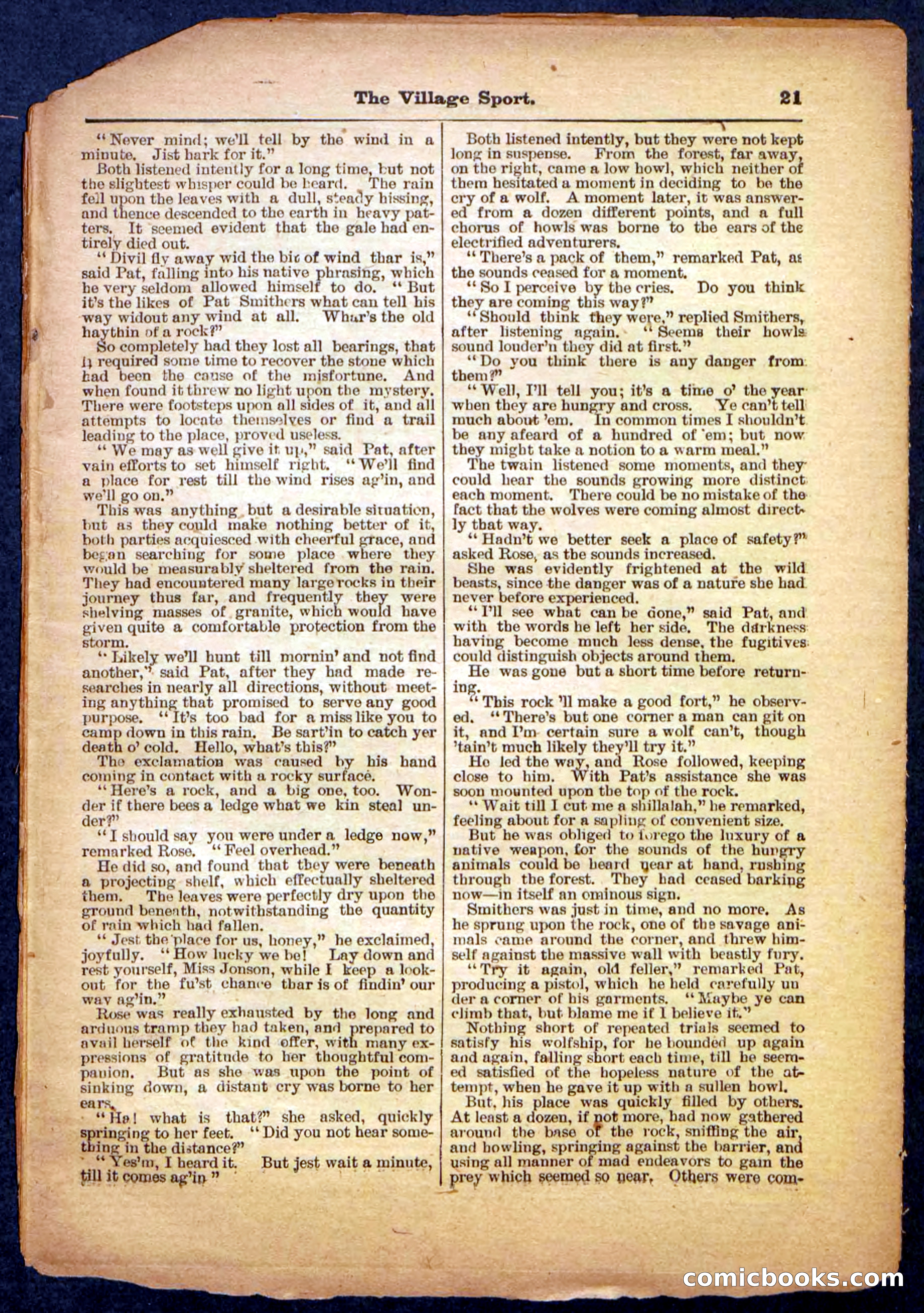 Beadle's Pocket Library No. 480 — page 21 of 32