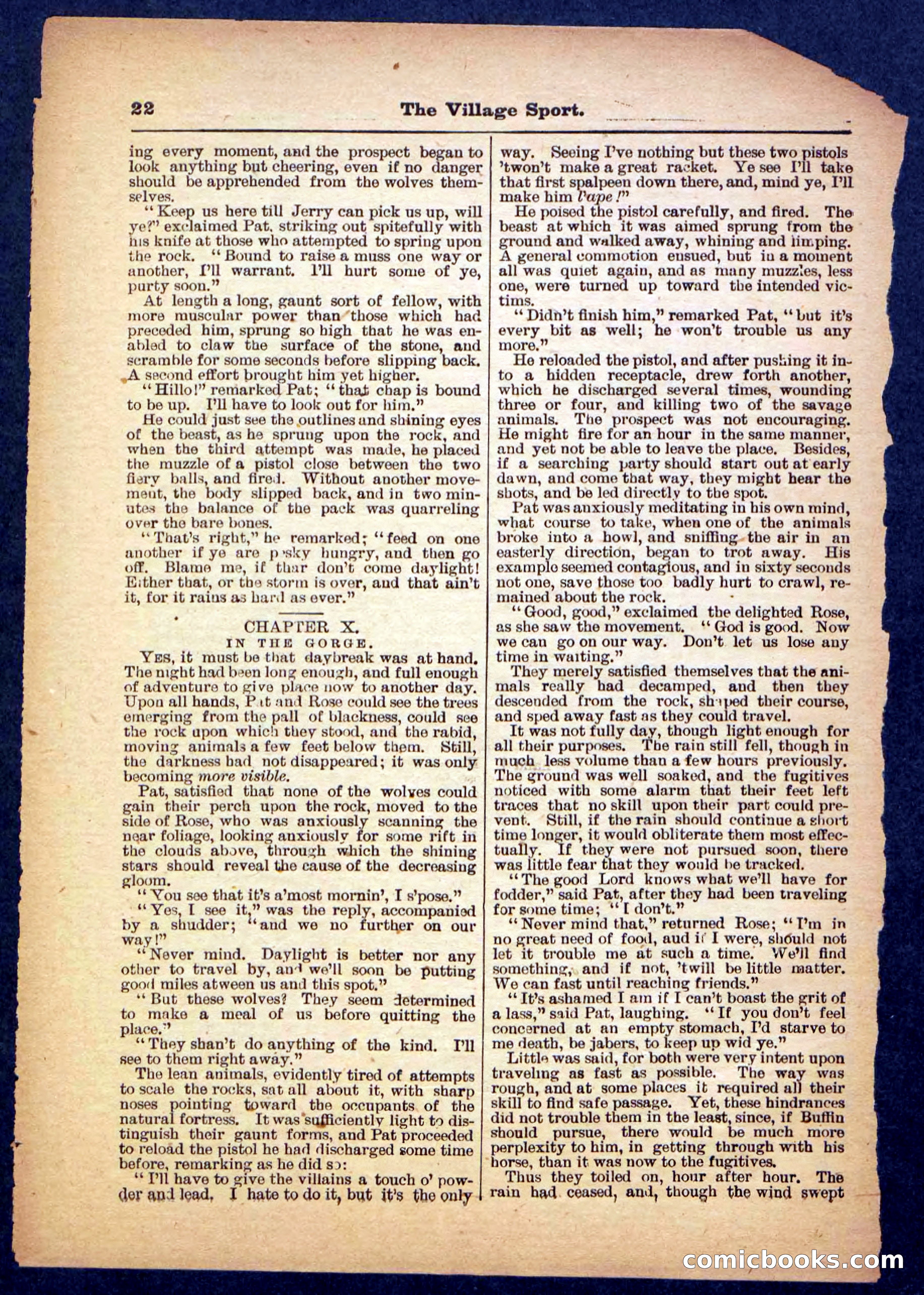 Beadle's Pocket Library No. 480 — page 22 of 32
