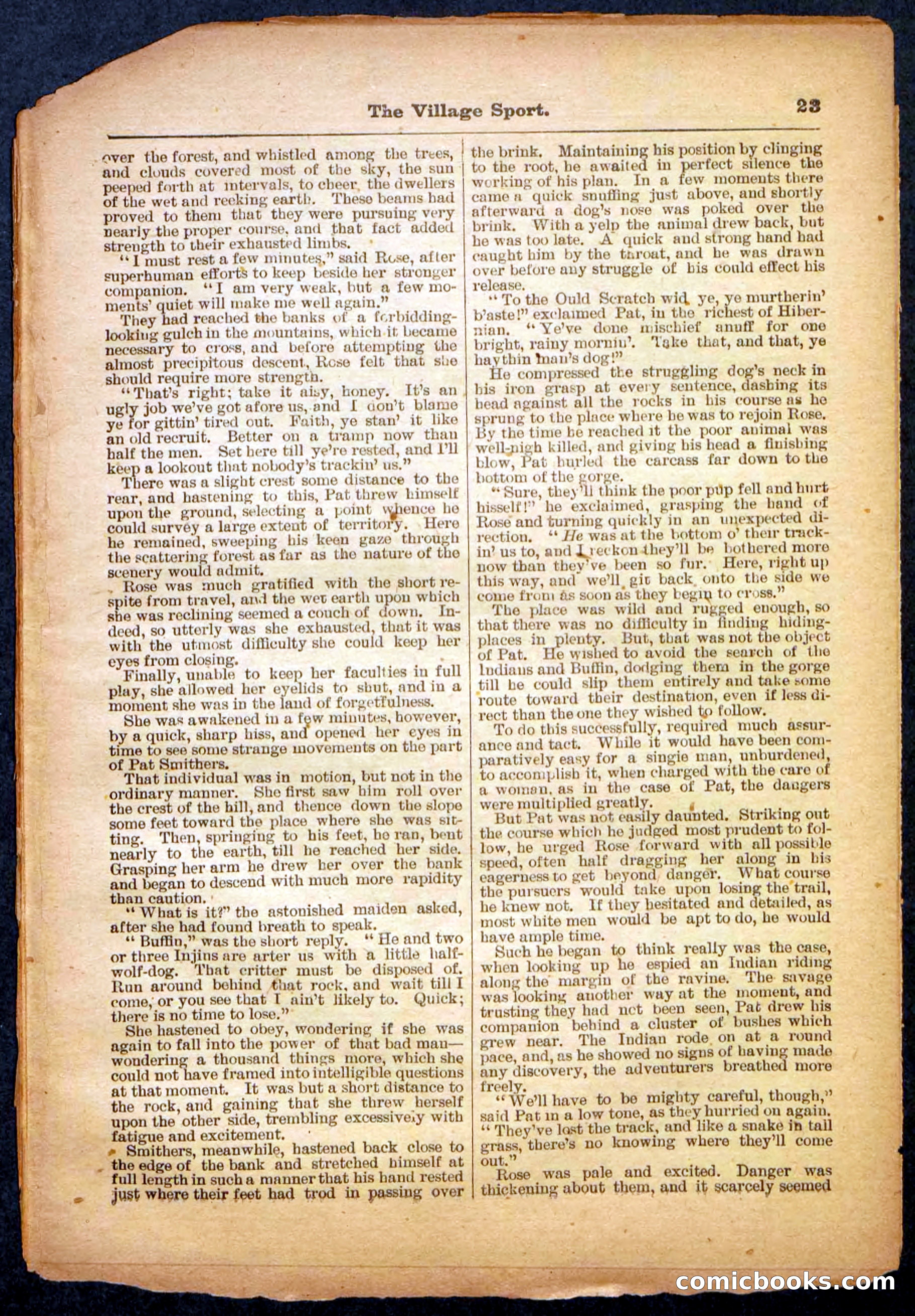 Beadle's Pocket Library No. 480 — page 23 of 32