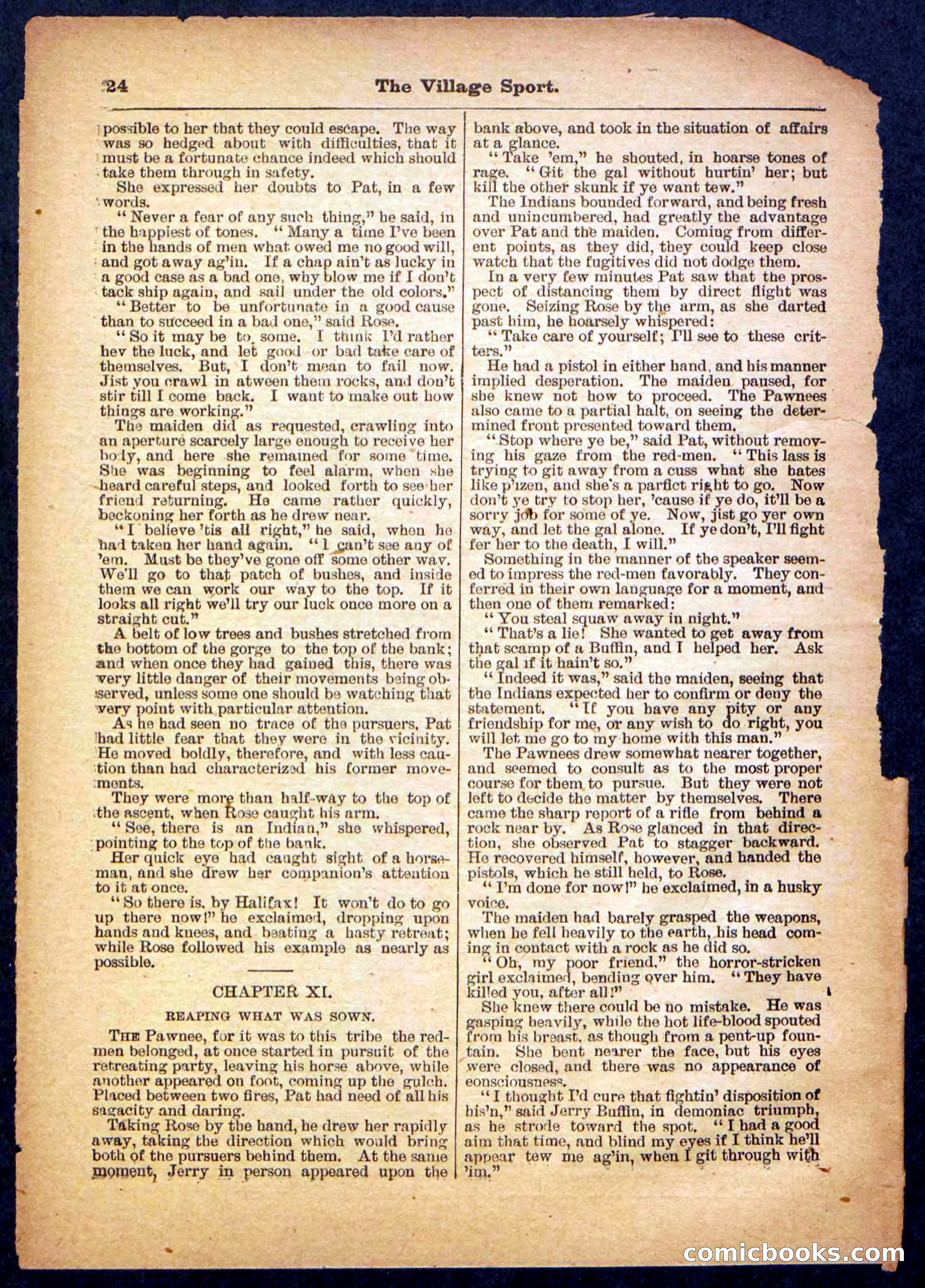 Beadle's Pocket Library No. 480 — page 24 of 32