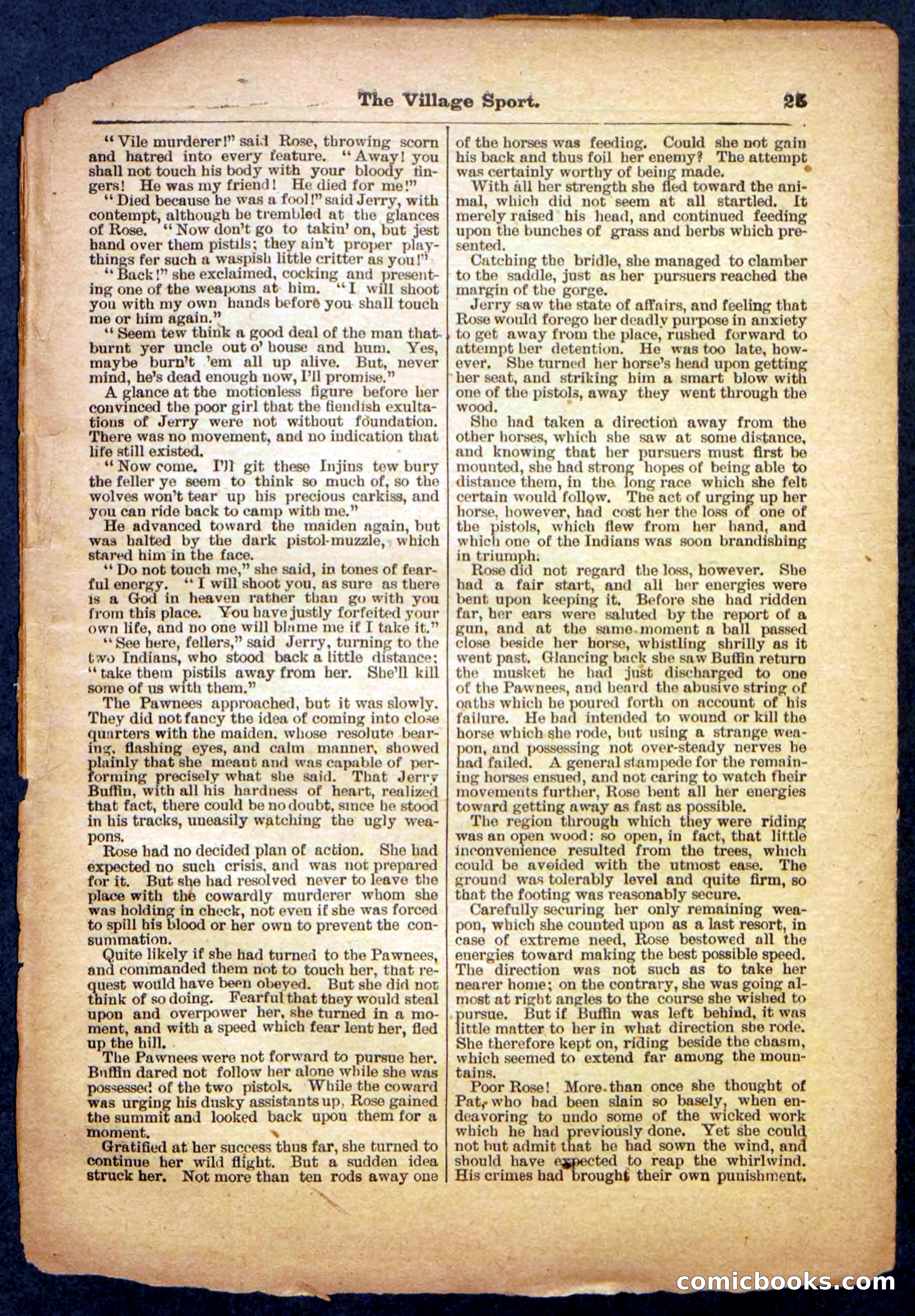 Beadle's Pocket Library No. 480 — page 25 of 32