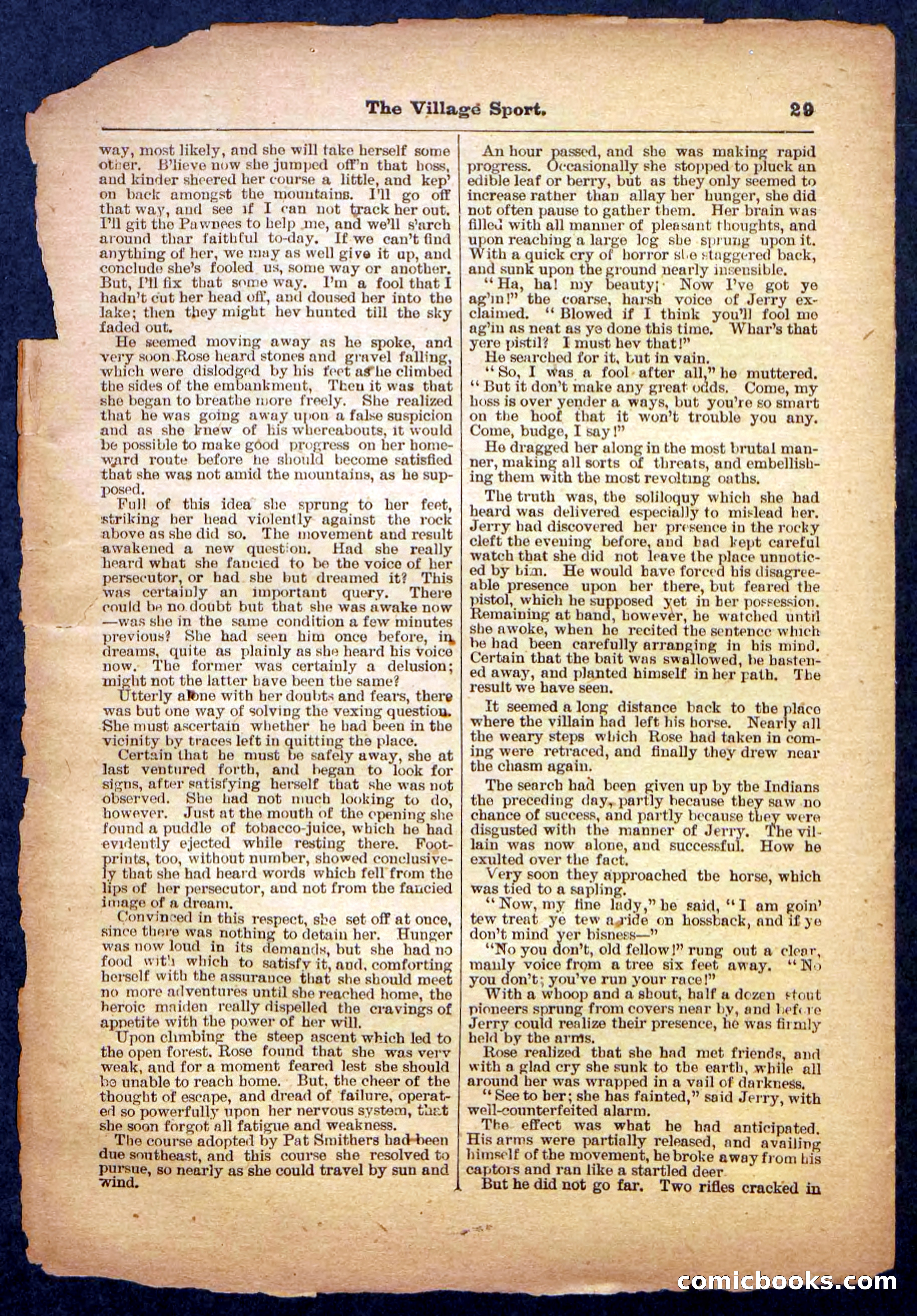 Beadle's Pocket Library No. 480 — page 29 of 32