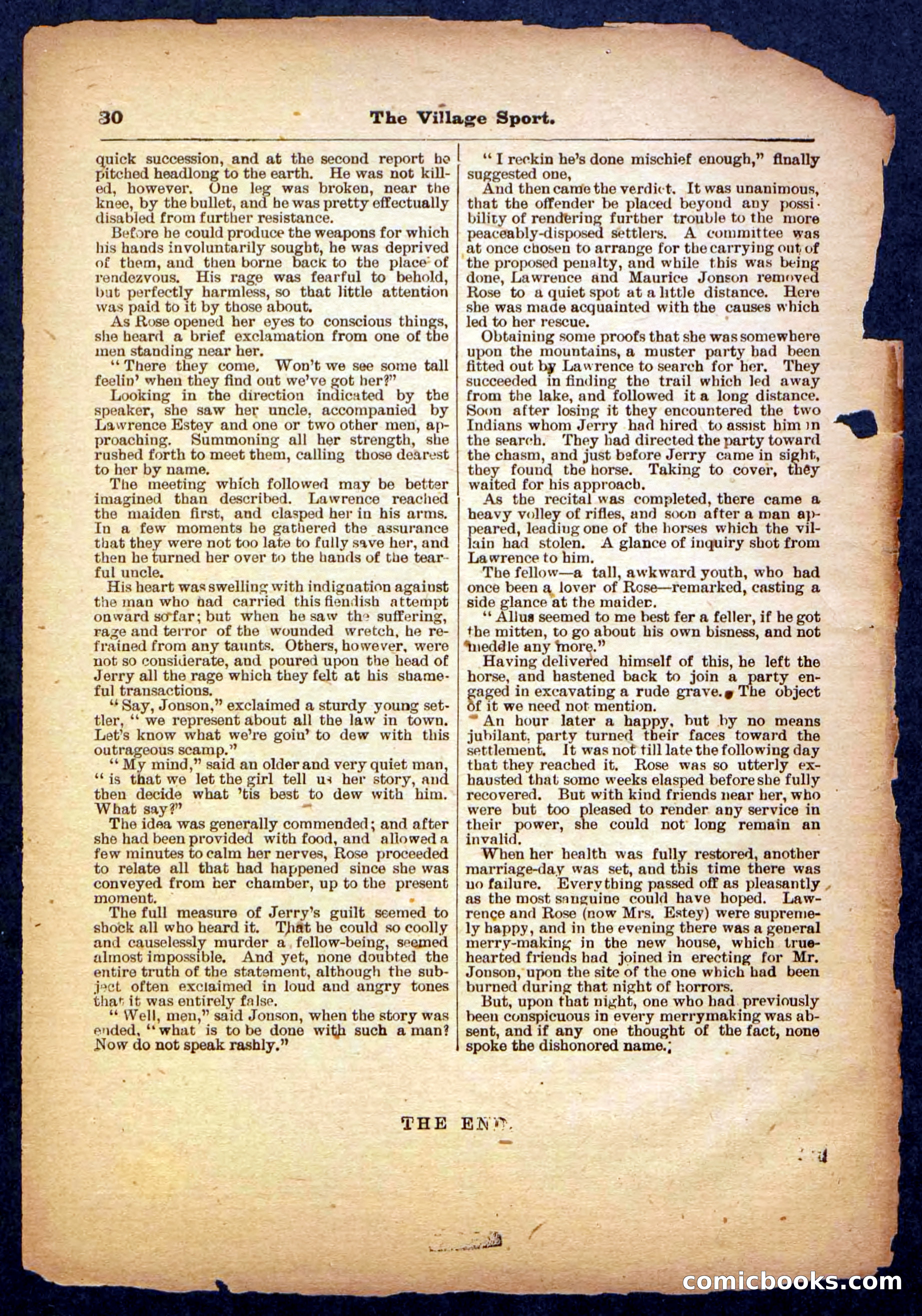 Beadle's Pocket Library No. 480 — page 30 of 32
