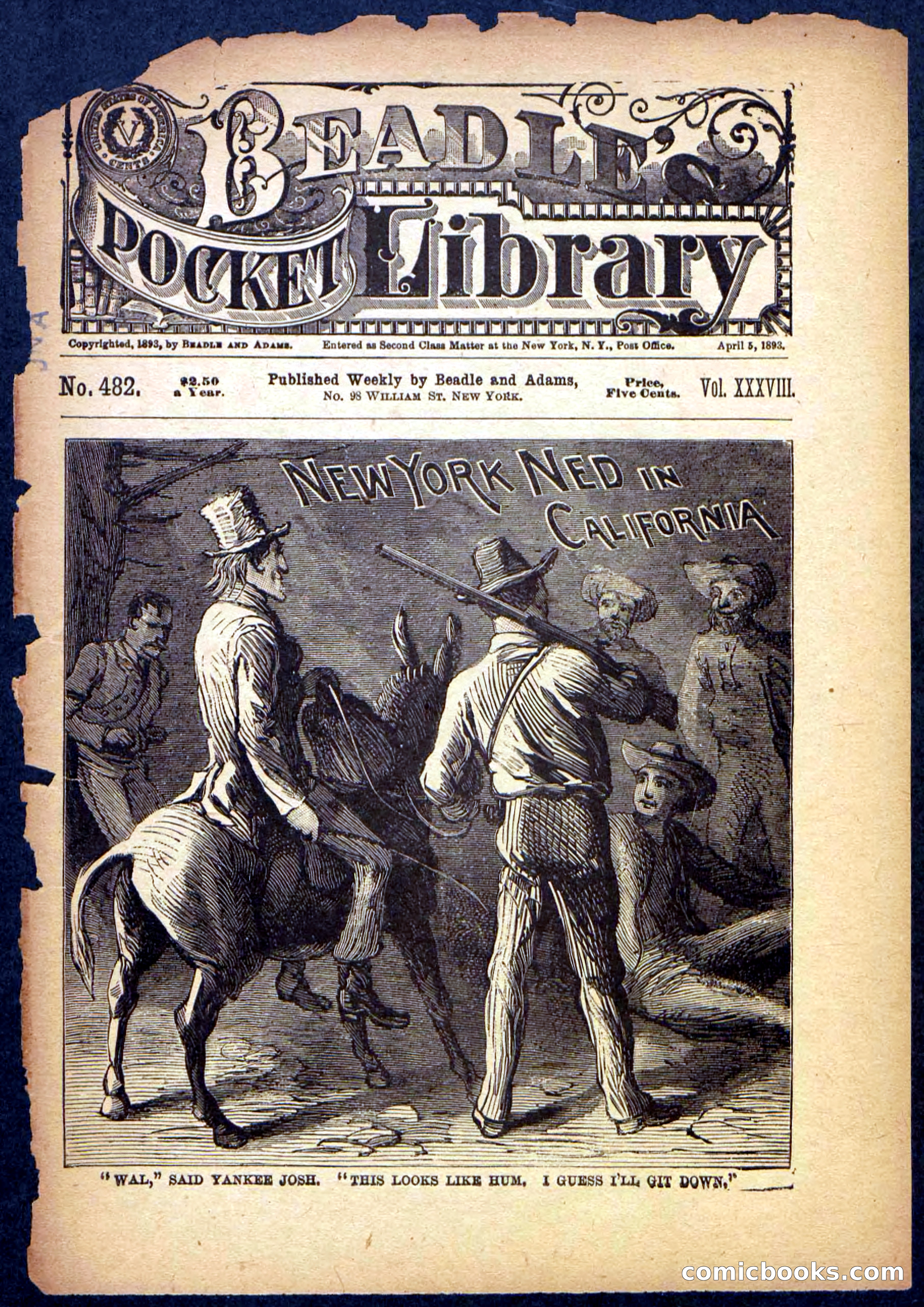 Beadle's Pocket Library No. 482 — page 1 of 32