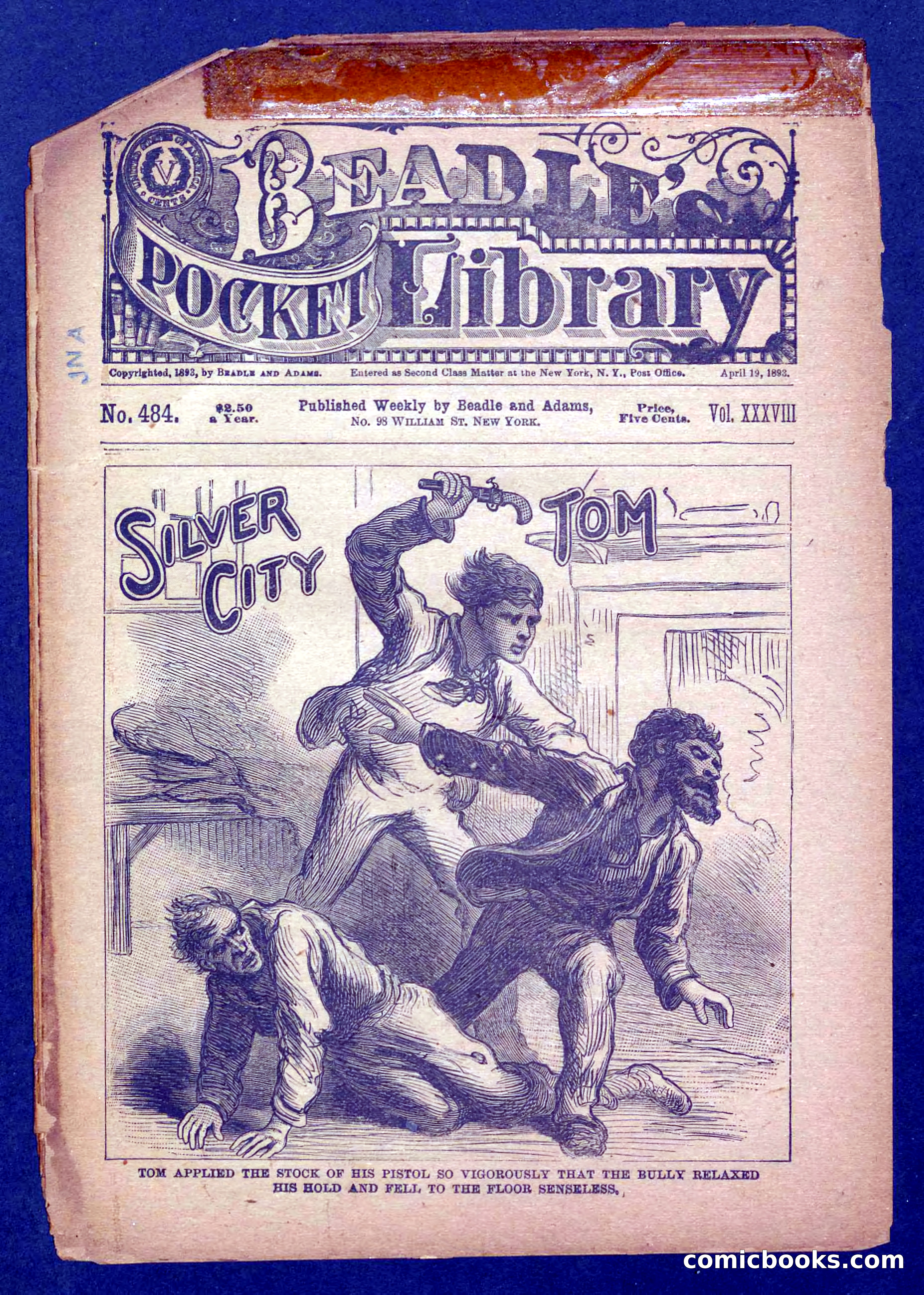 Beadle's Pocket Library No. 484 — page 1 of 32
