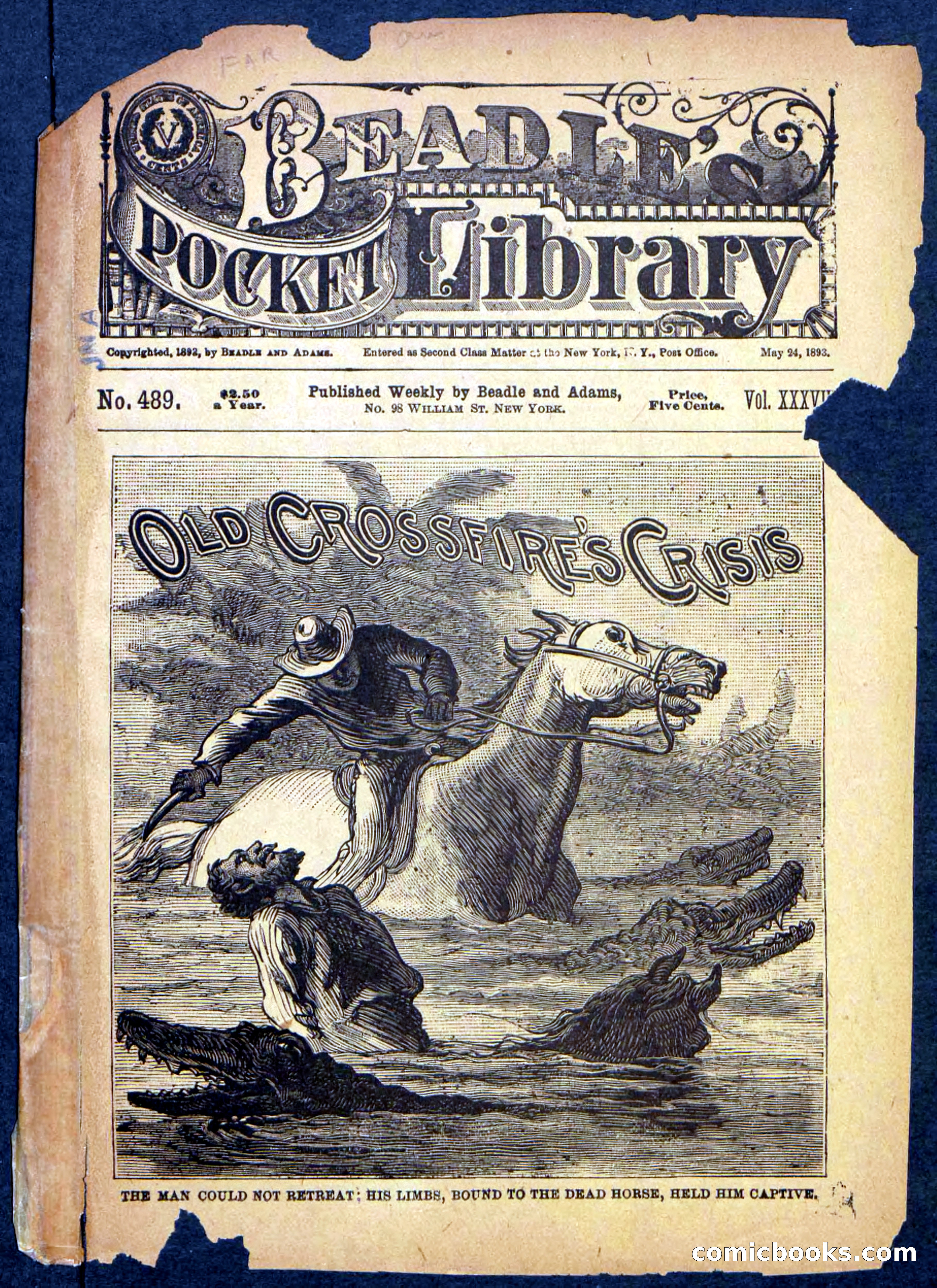Beadle's Pocket Library No. 489: Old Crossfire's Crisis — page 1 of 32