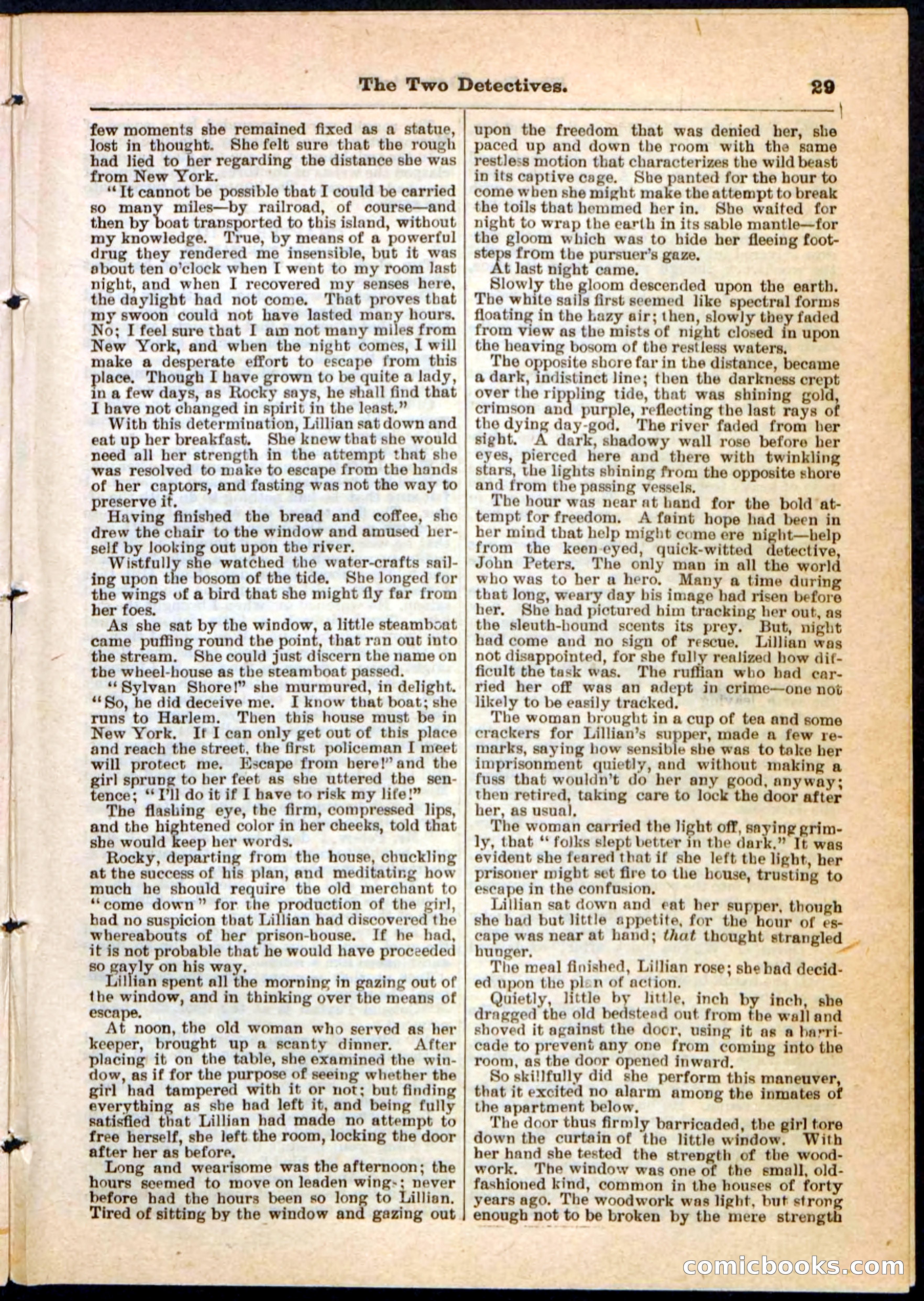 Beadle's Pocket Library No. 5 — page 29 of 32