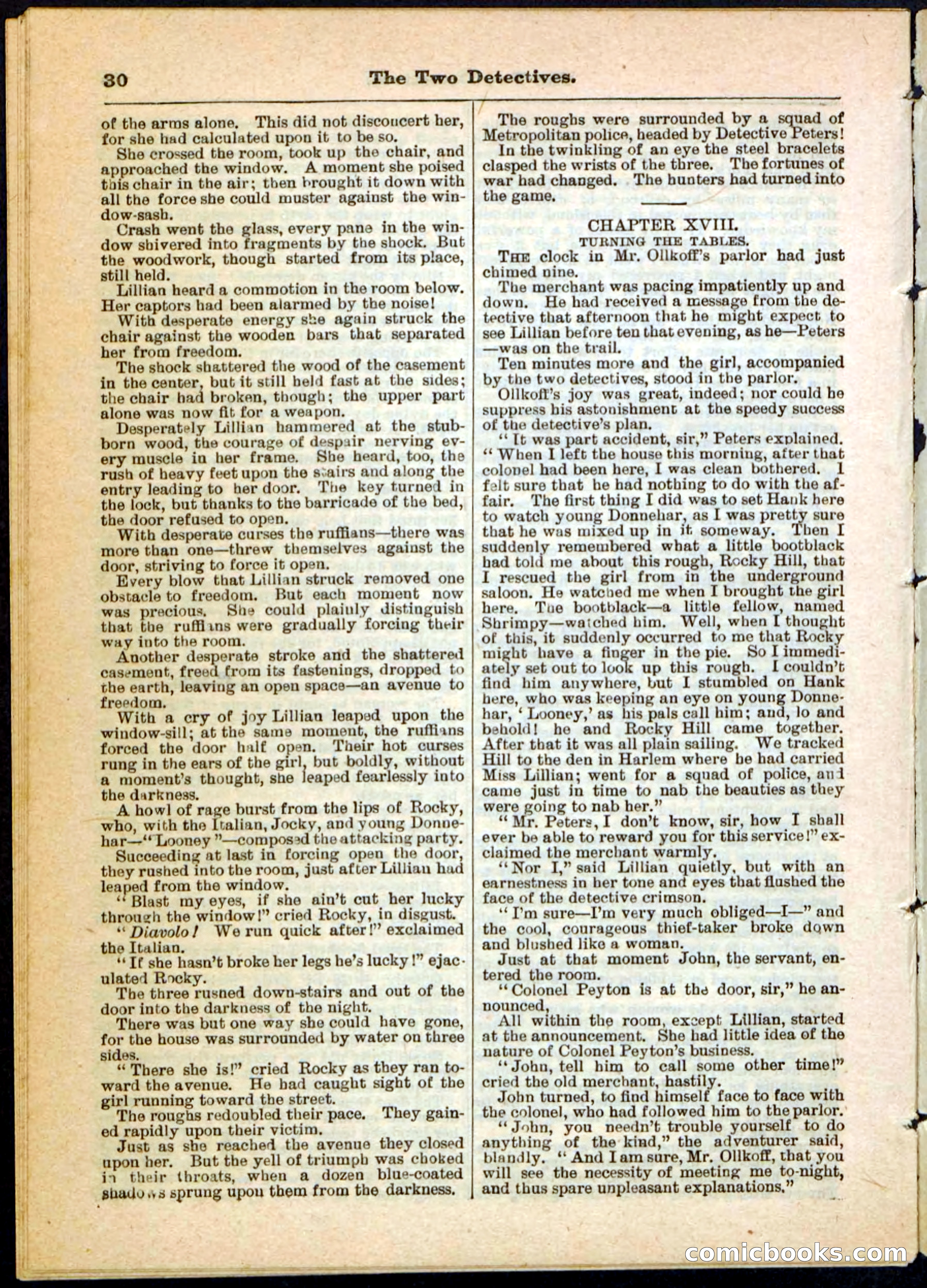Beadle's Pocket Library No. 5 — page 30 of 32