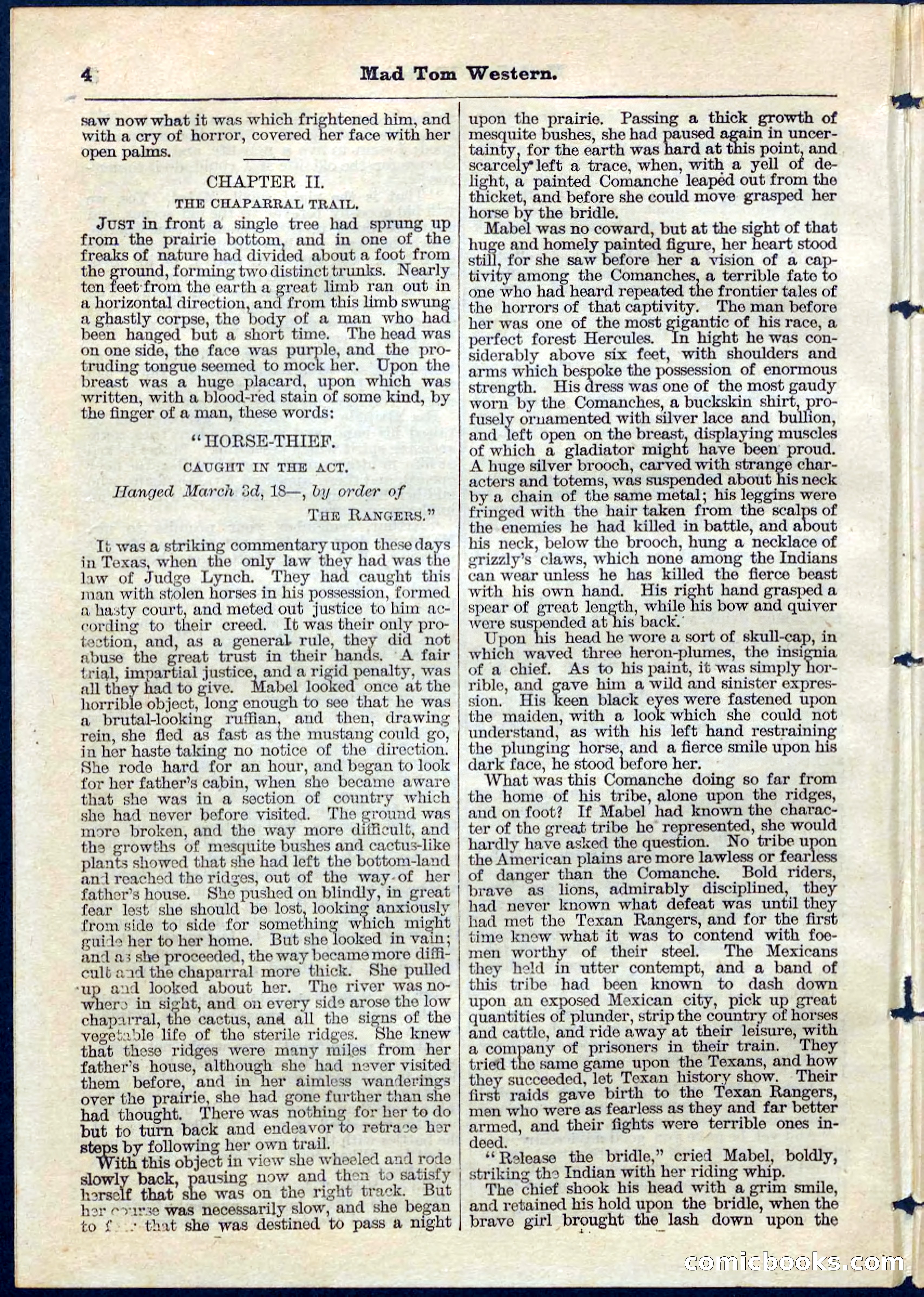 Beadle's Pocket Library No. 56 — page 4 of 32