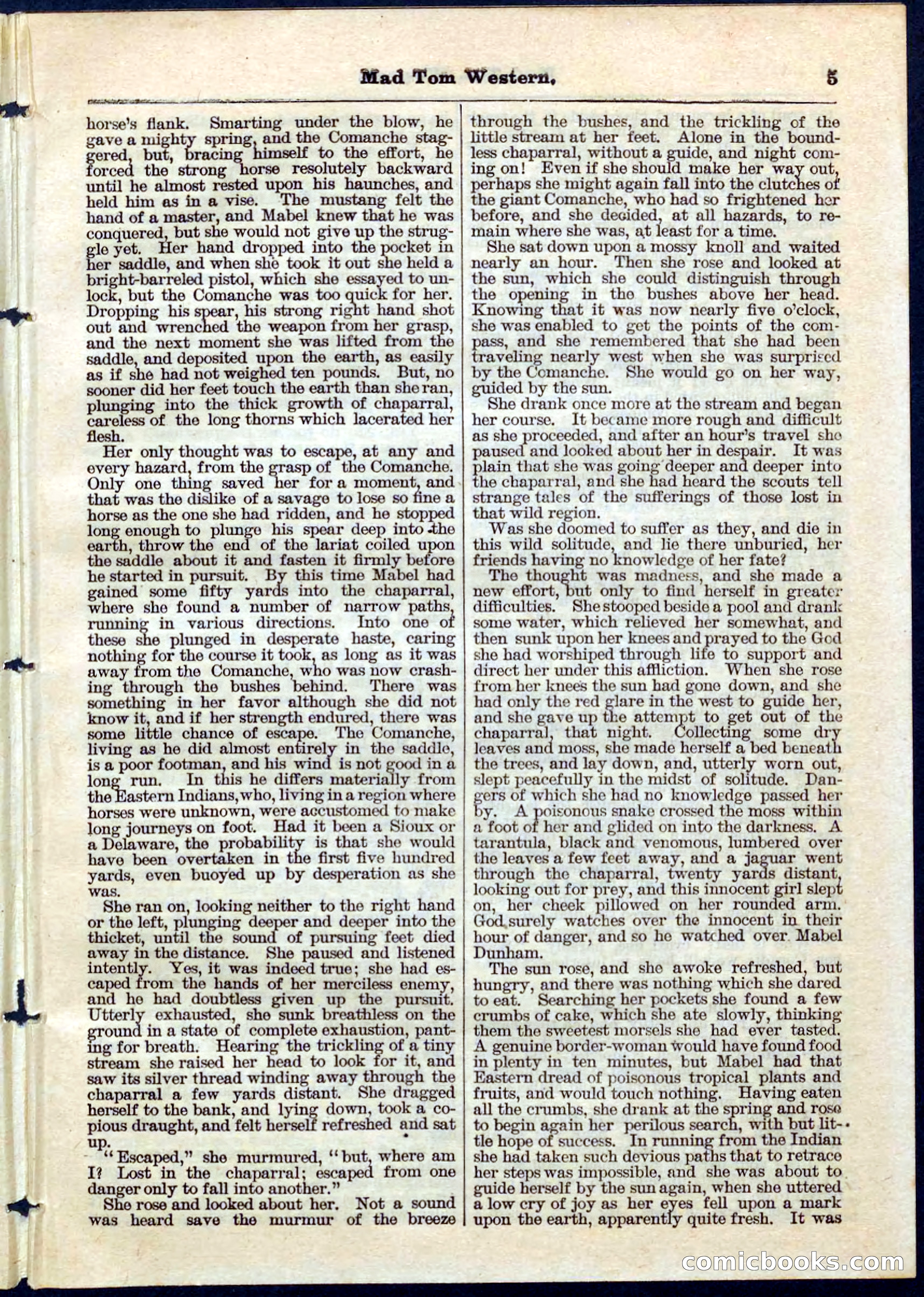 Beadle's Pocket Library No. 56 — page 5 of 32