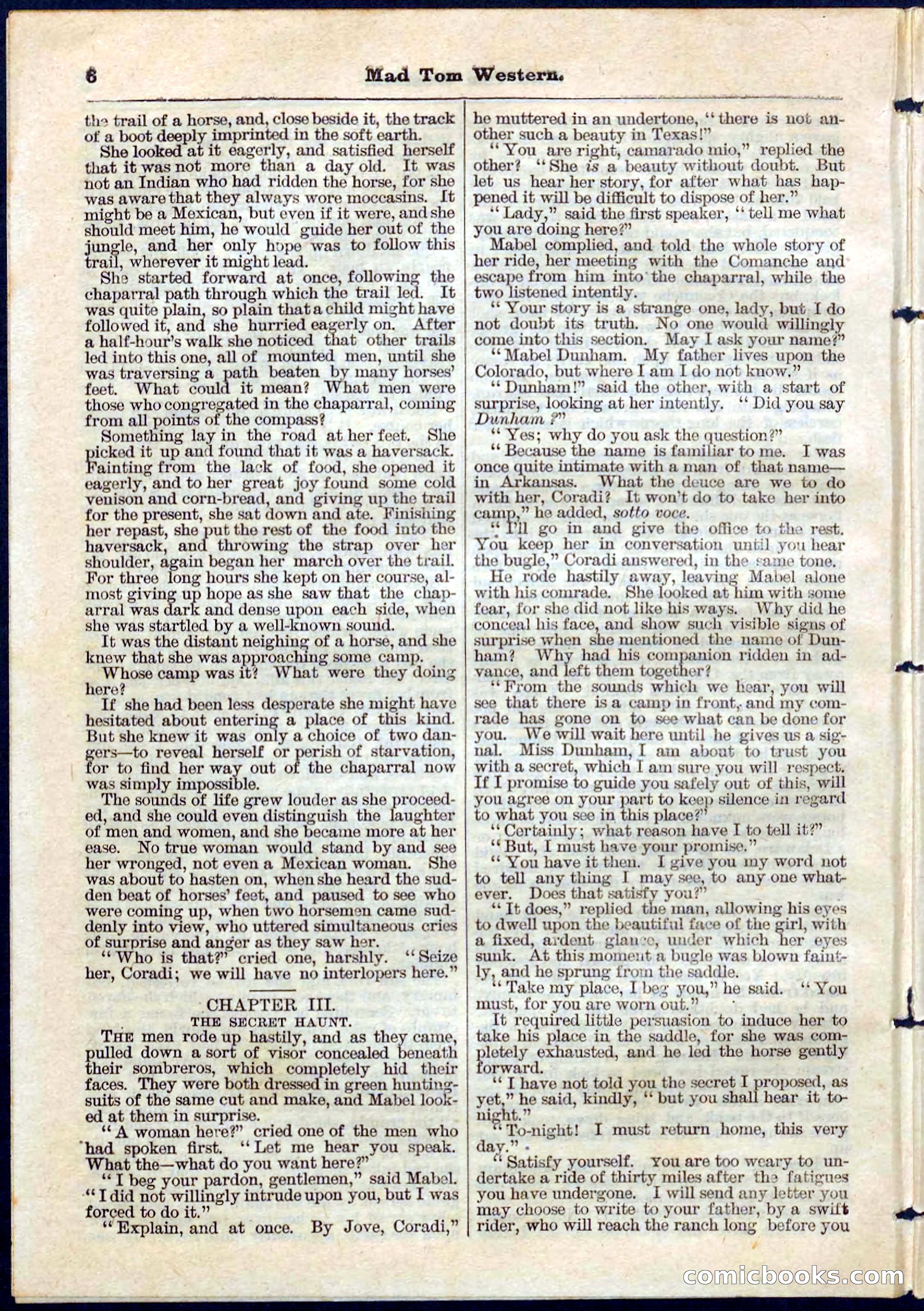 Beadle's Pocket Library No. 56 — page 6 of 32