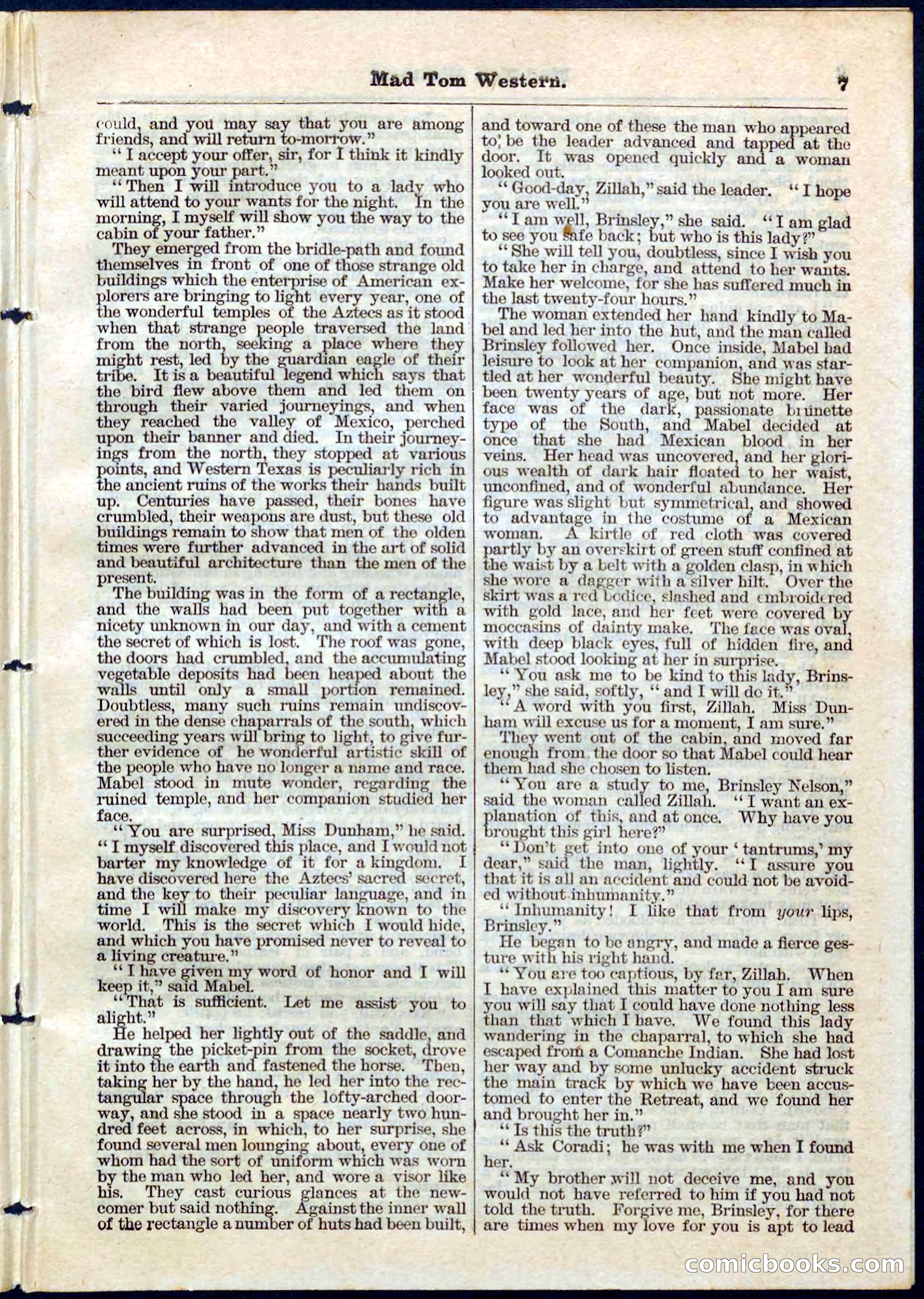 Beadle's Pocket Library No. 56 — page 7 of 32