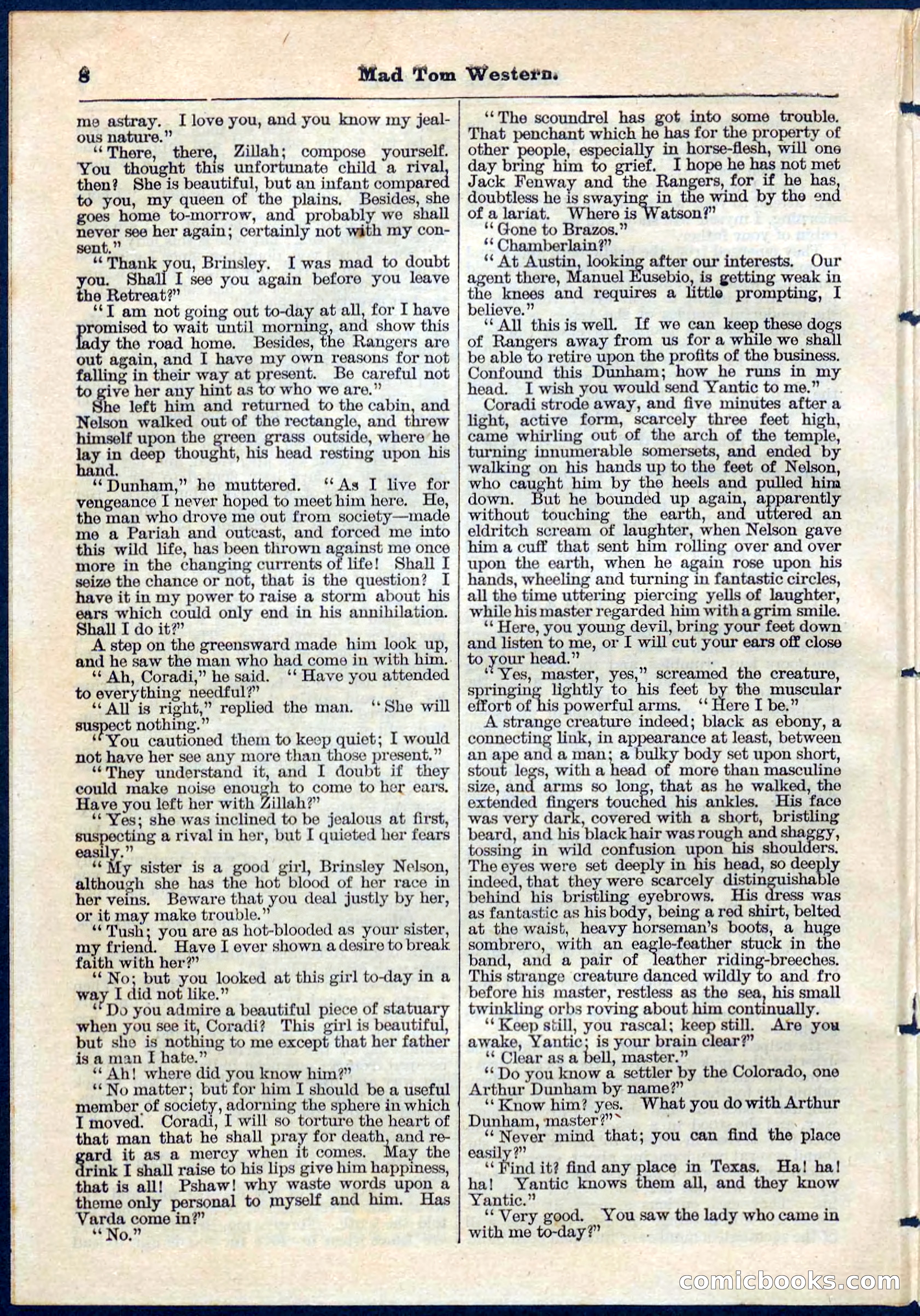 Beadle's Pocket Library No. 56 — page 8 of 32