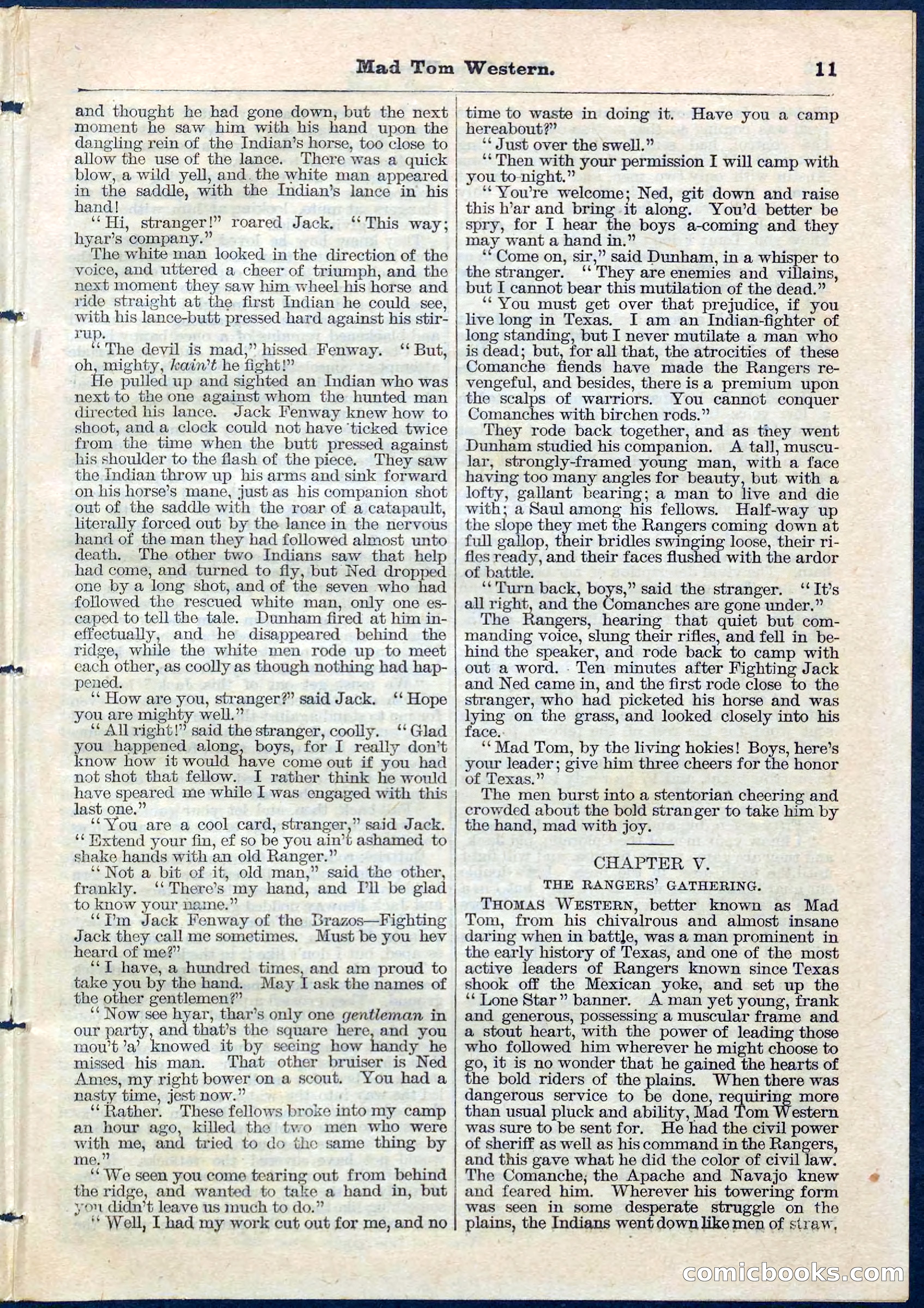 Beadle's Pocket Library No. 56 — page 11 of 32