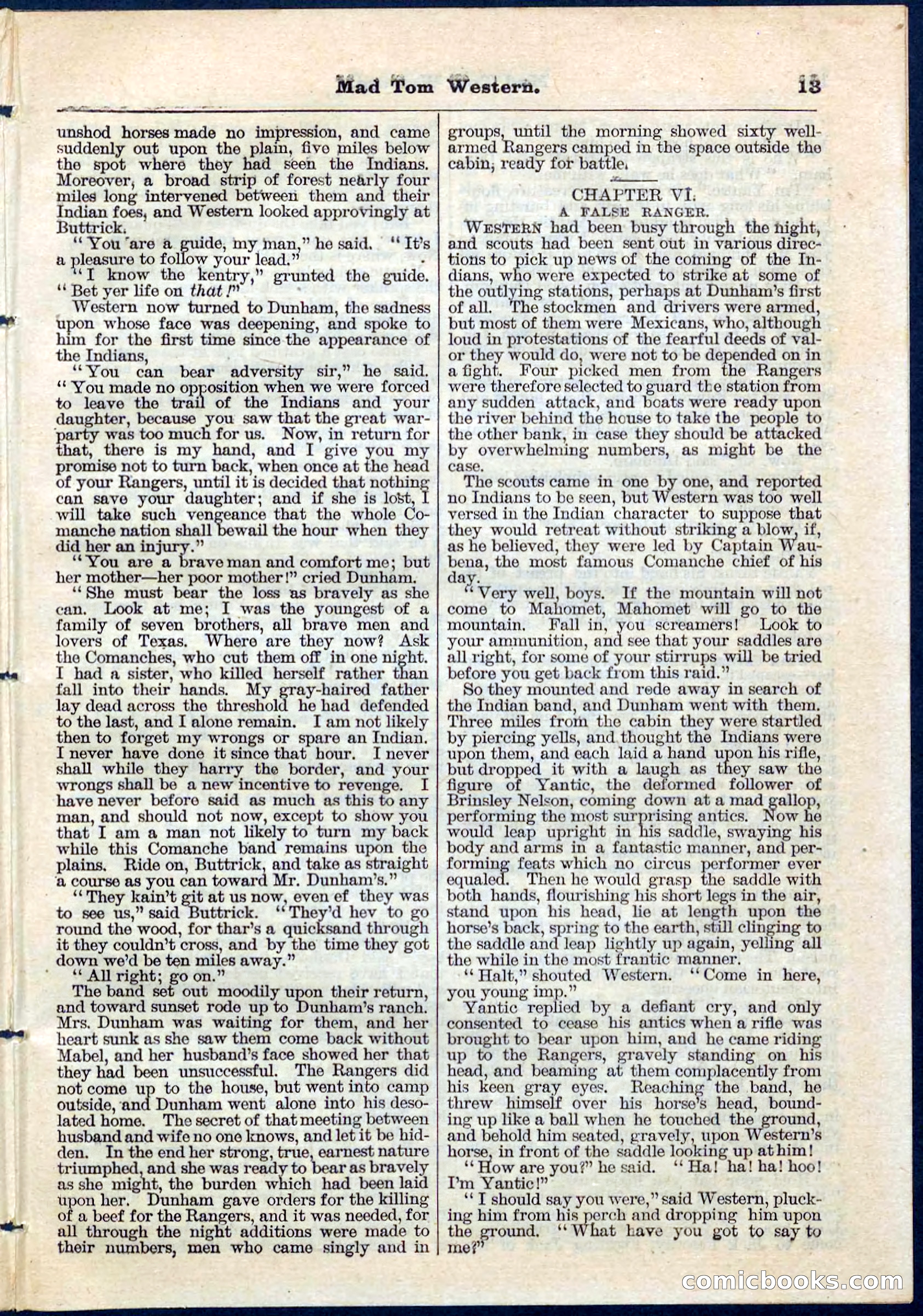 Beadle's Pocket Library No. 56 — page 13 of 32