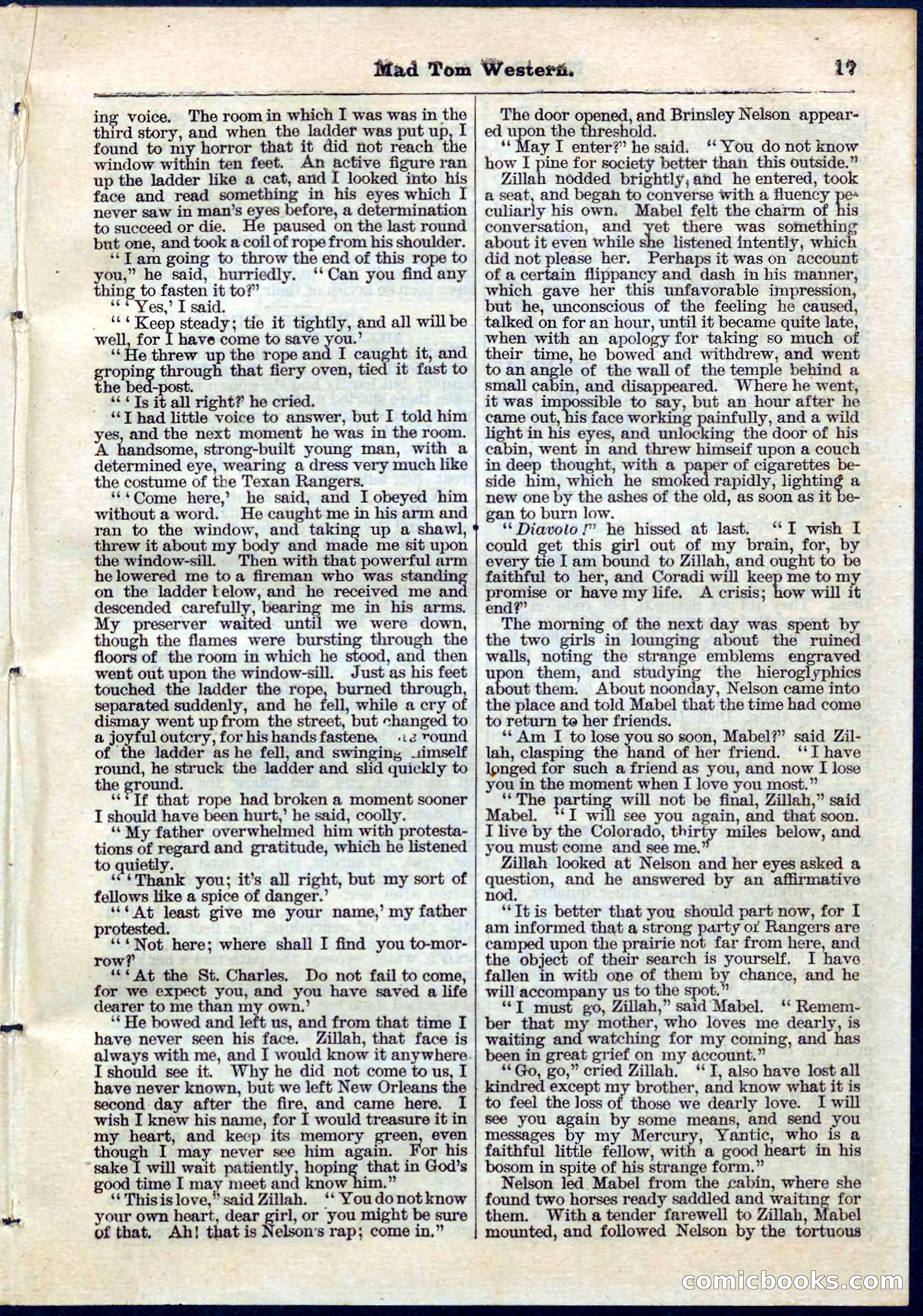 Beadle's Pocket Library No. 56 — page 17 of 32