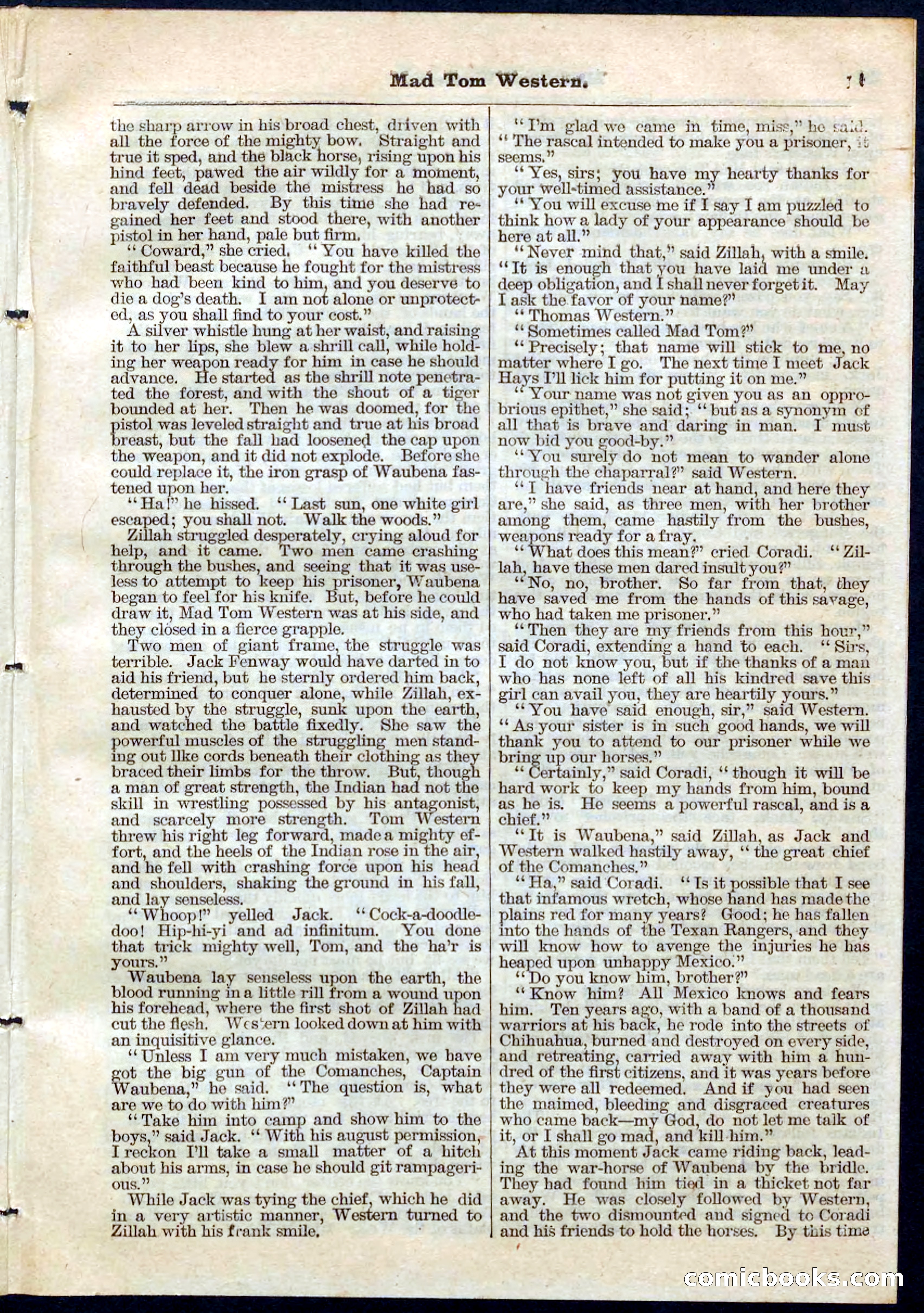 Beadle's Pocket Library No. 56 — page 19 of 32