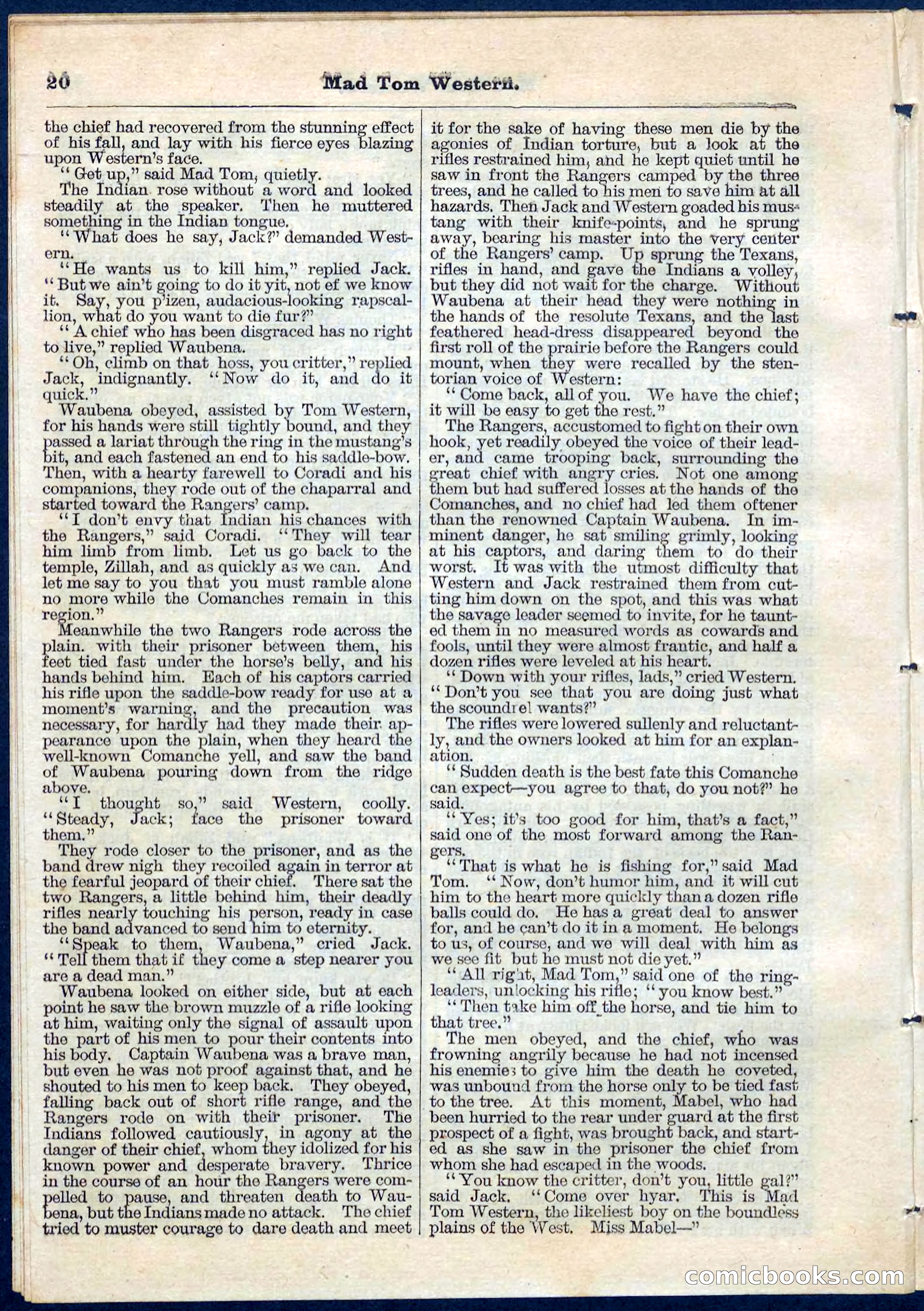 Beadle's Pocket Library No. 56 — page 20 of 32