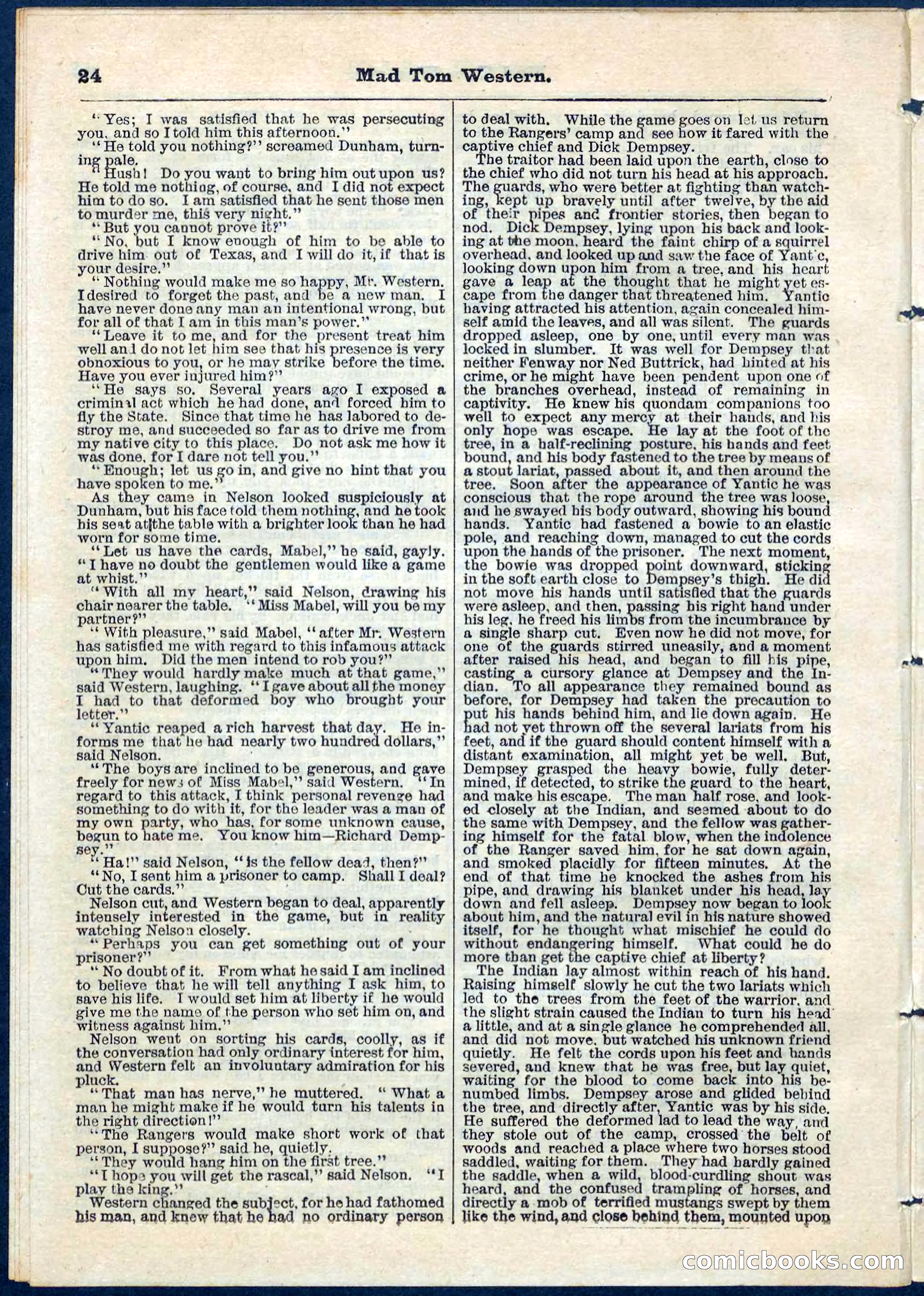 Beadle's Pocket Library No. 56 — page 24 of 32