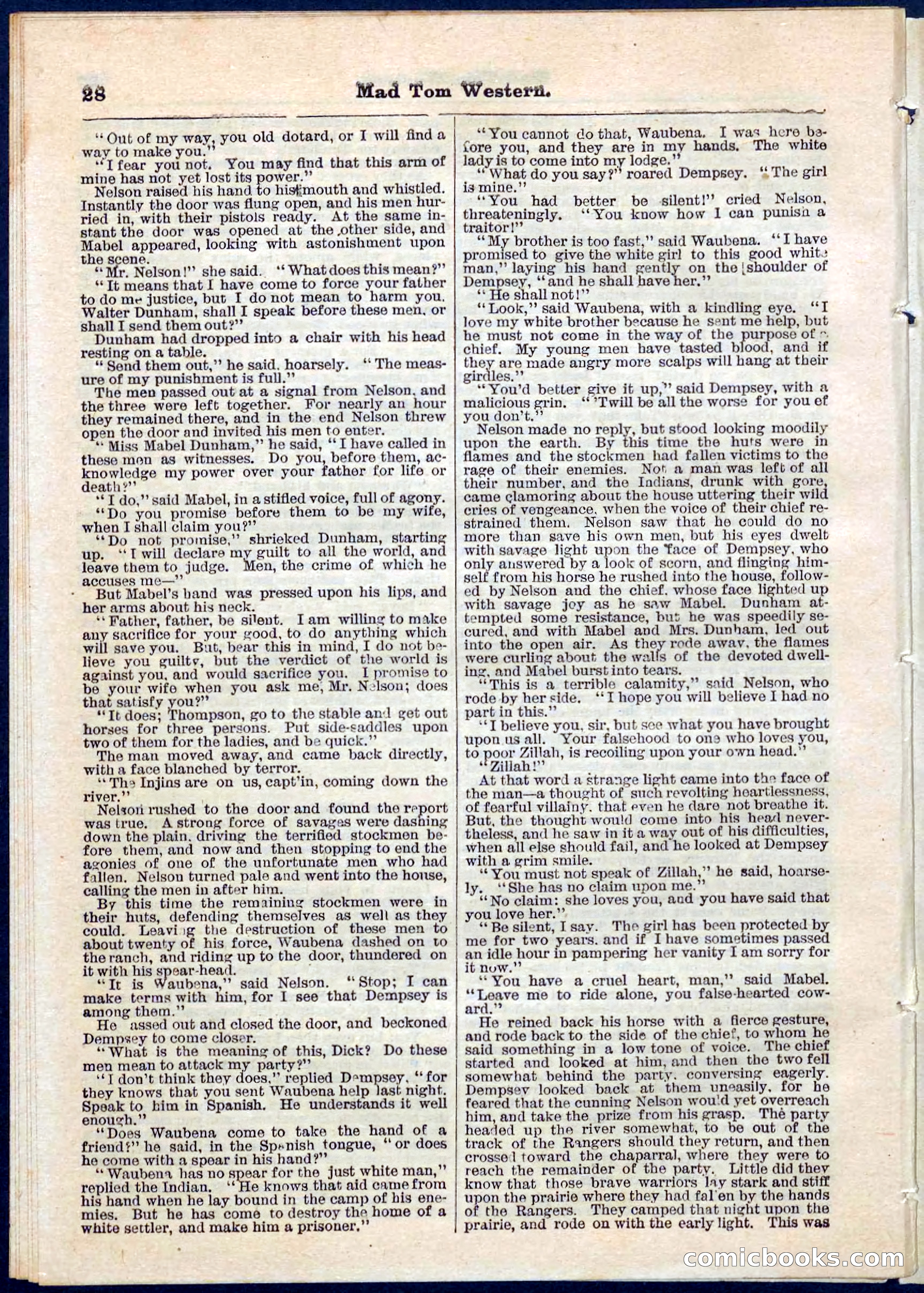 Beadle's Pocket Library No. 56 — page 28 of 32
