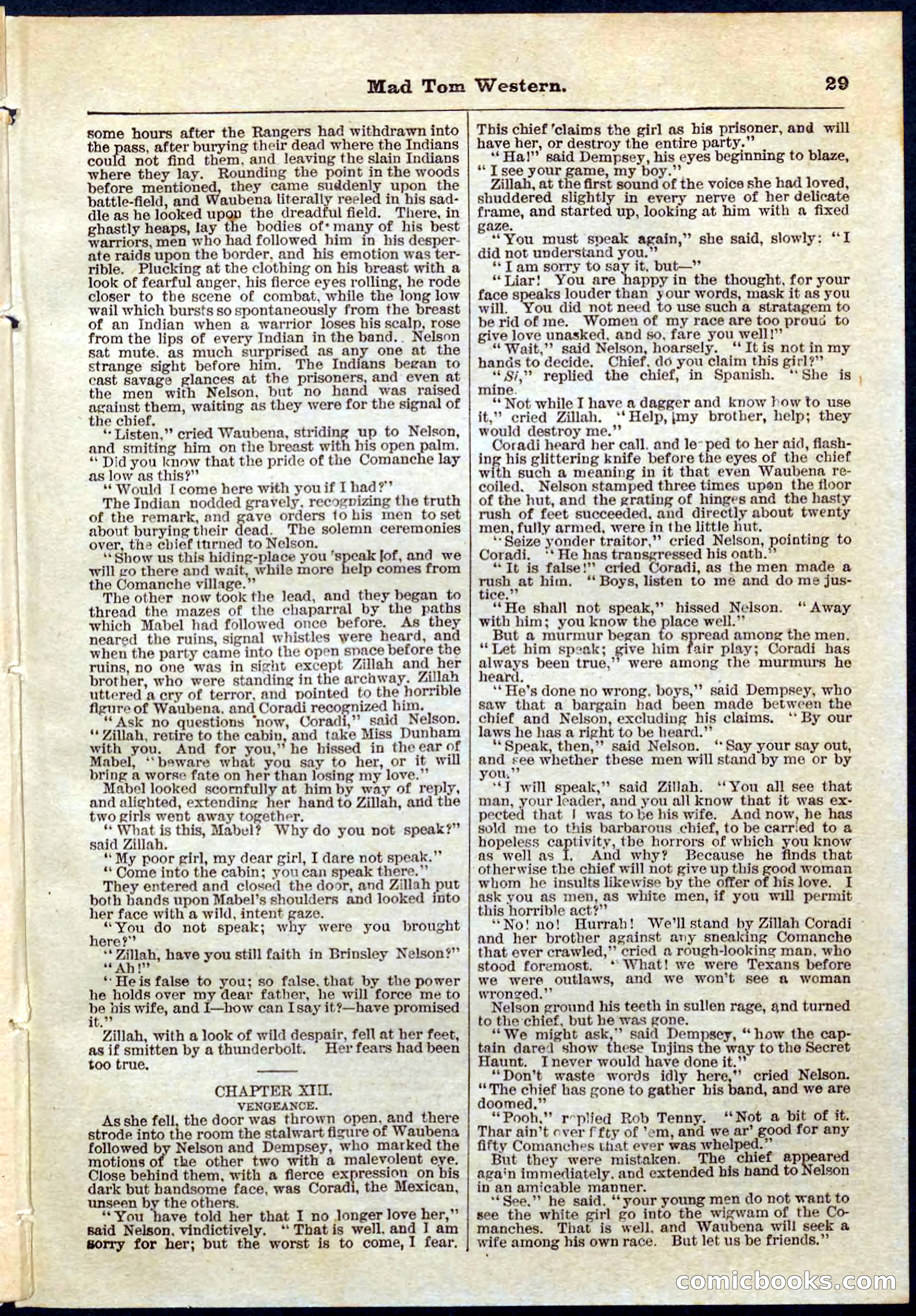 Beadle's Pocket Library No. 56 — page 29 of 32