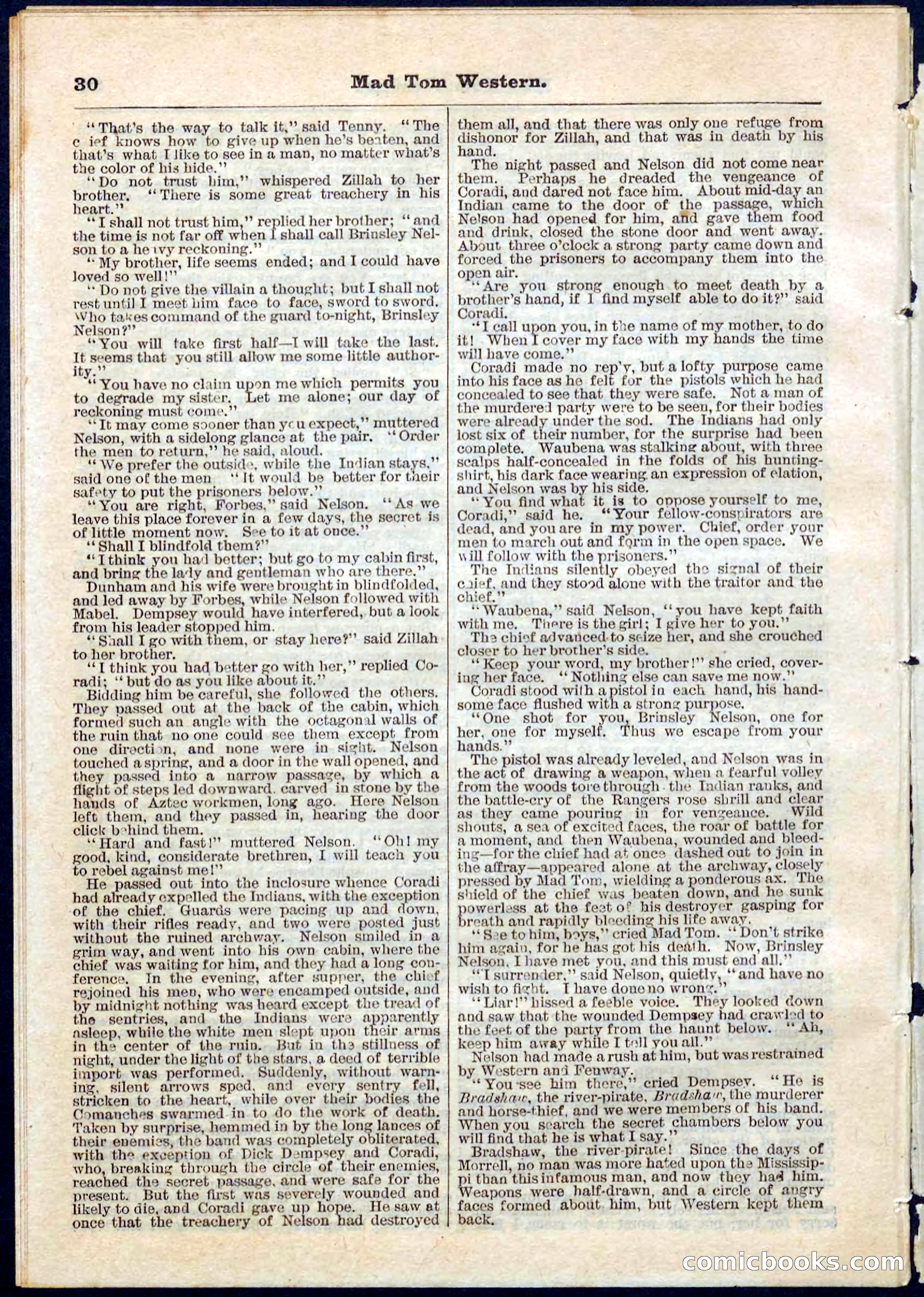 Beadle's Pocket Library No. 56 — page 30 of 32
