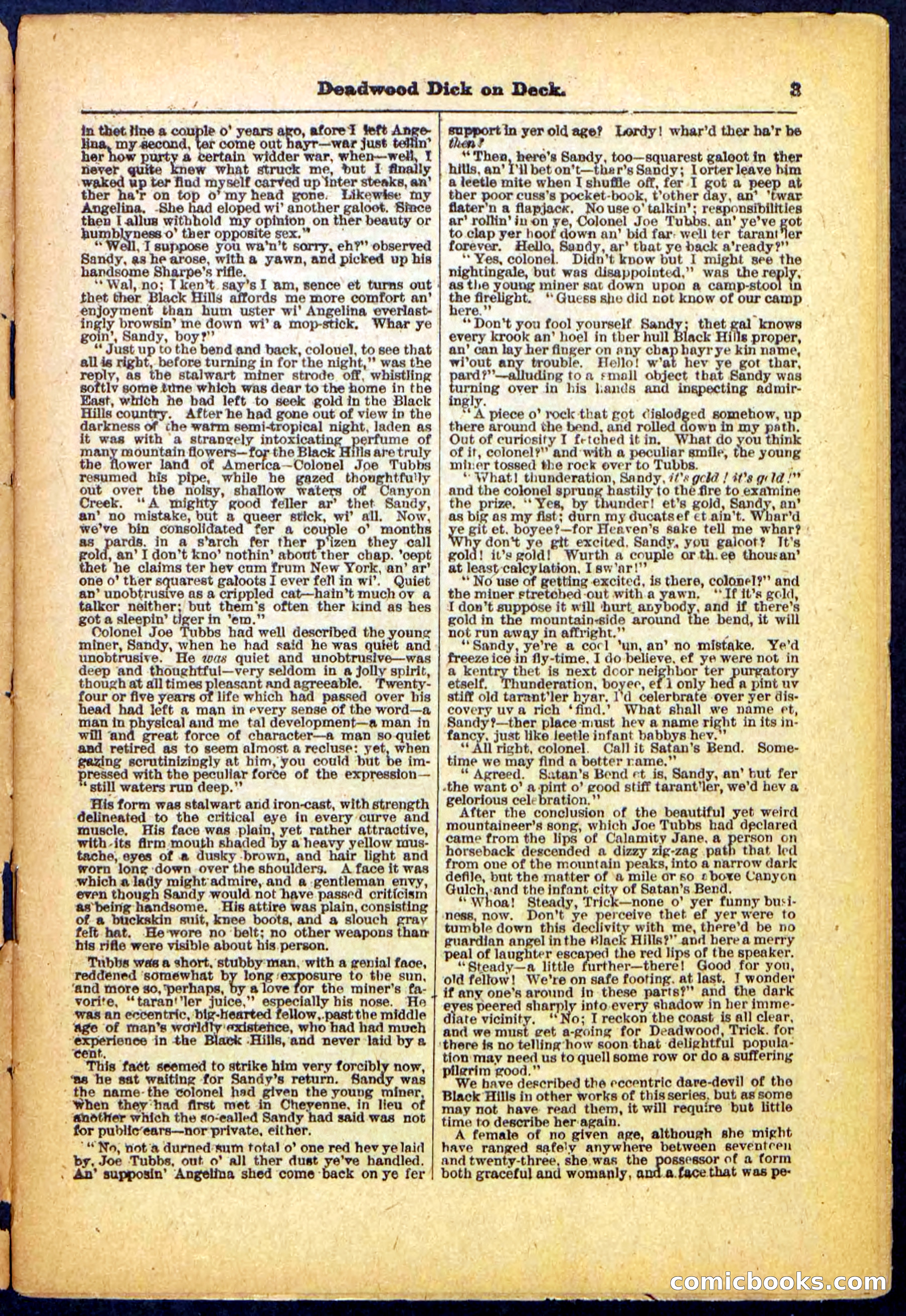 Beadle's Pocket Library, No. 57 — page 3 of 32