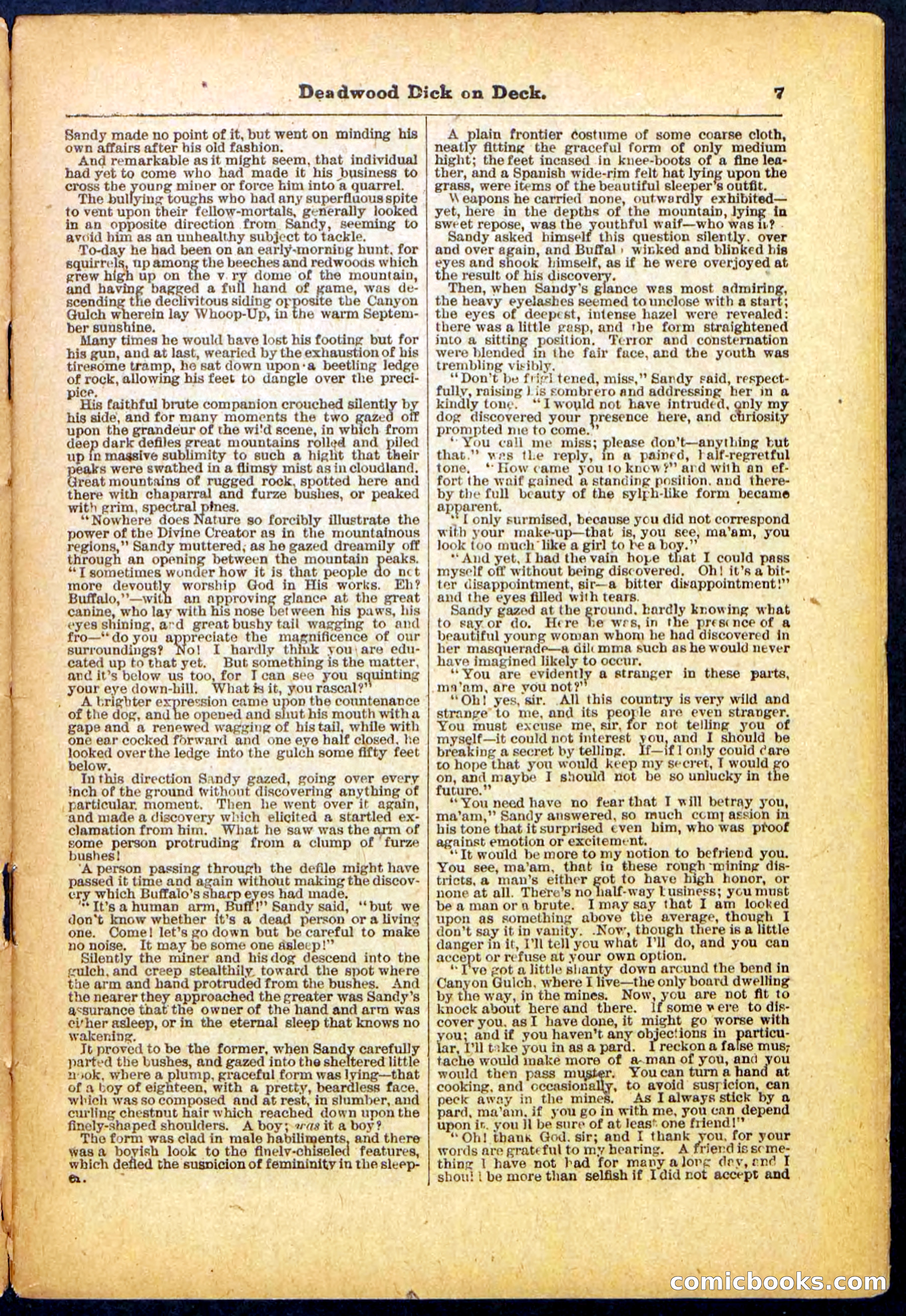 Beadle's Pocket Library, No. 57 — page 7 of 32