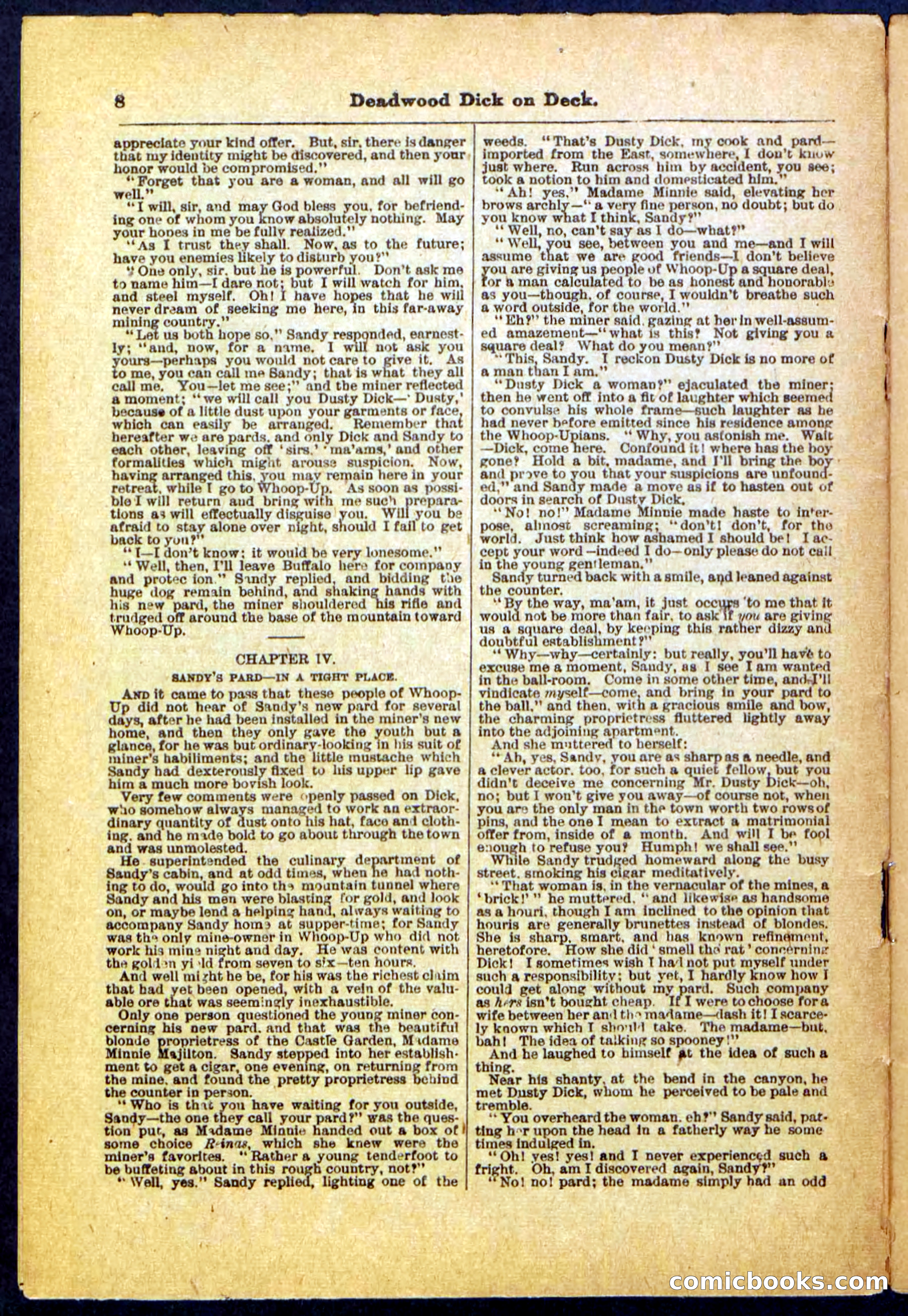 Beadle's Pocket Library, No. 57 — page 8 of 32