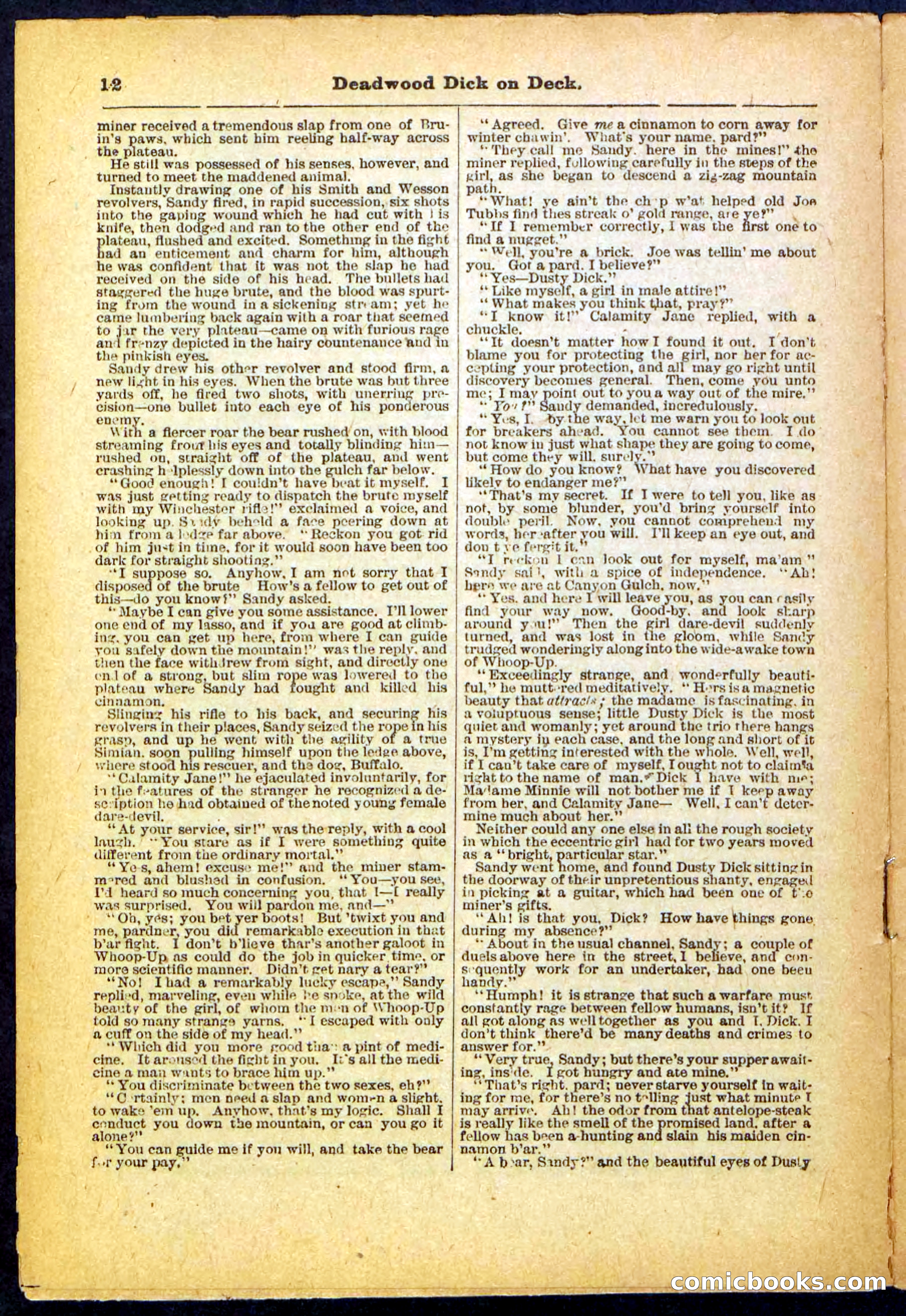 Beadle's Pocket Library, No. 57 — page 12 of 32