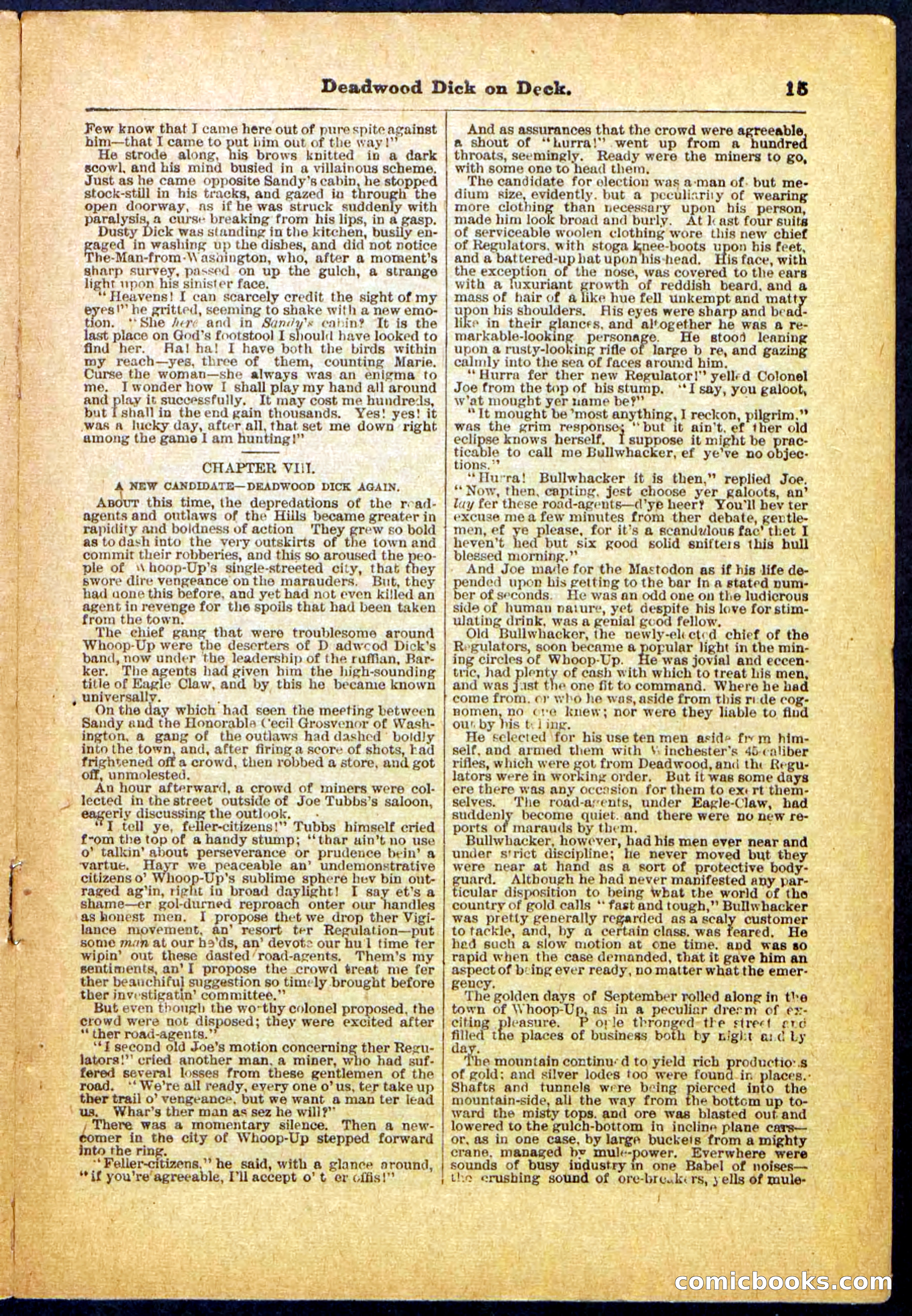 Beadle's Pocket Library, No. 57 — page 15 of 32