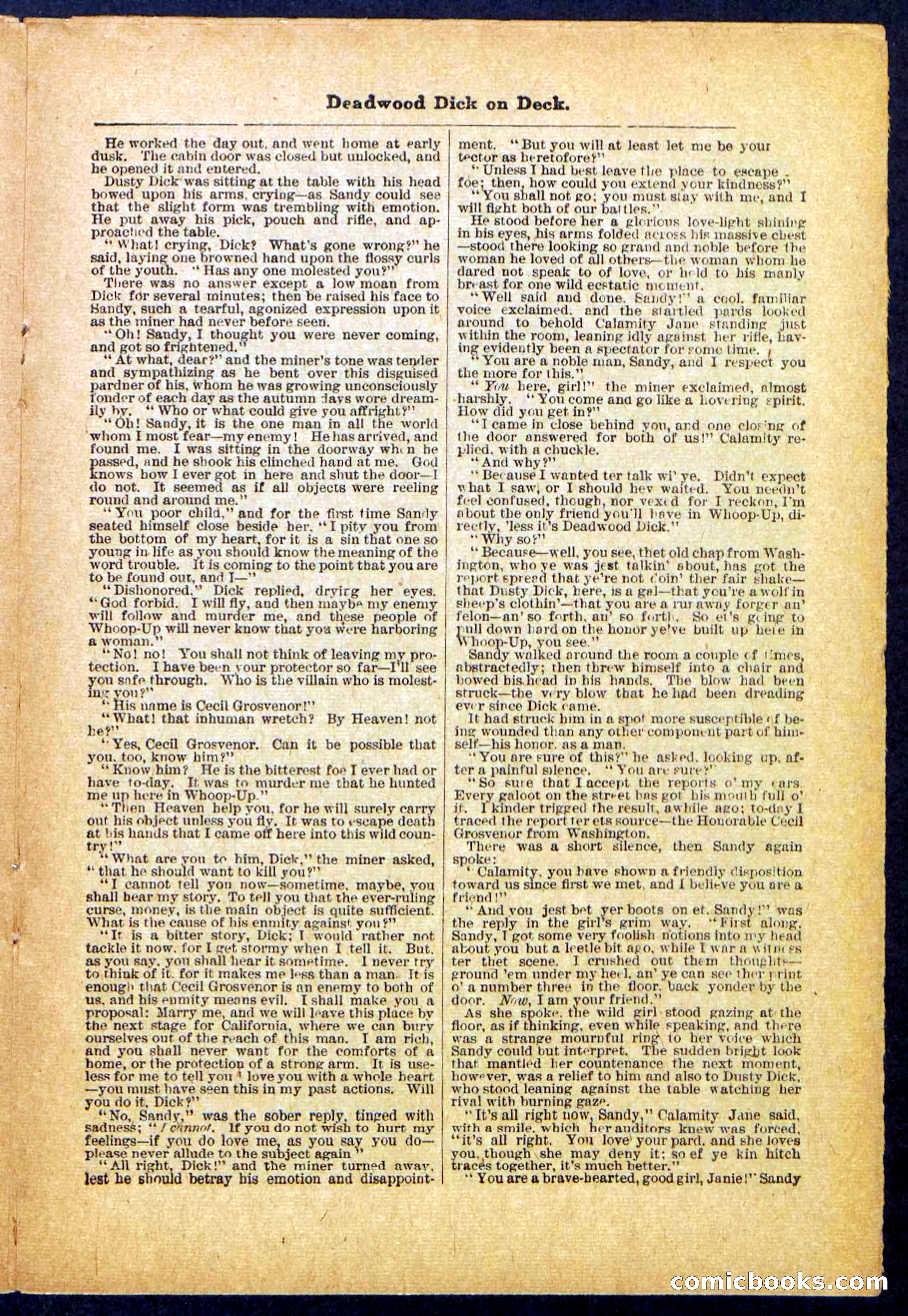 Beadle's Pocket Library, No. 57 — page 19 of 32
