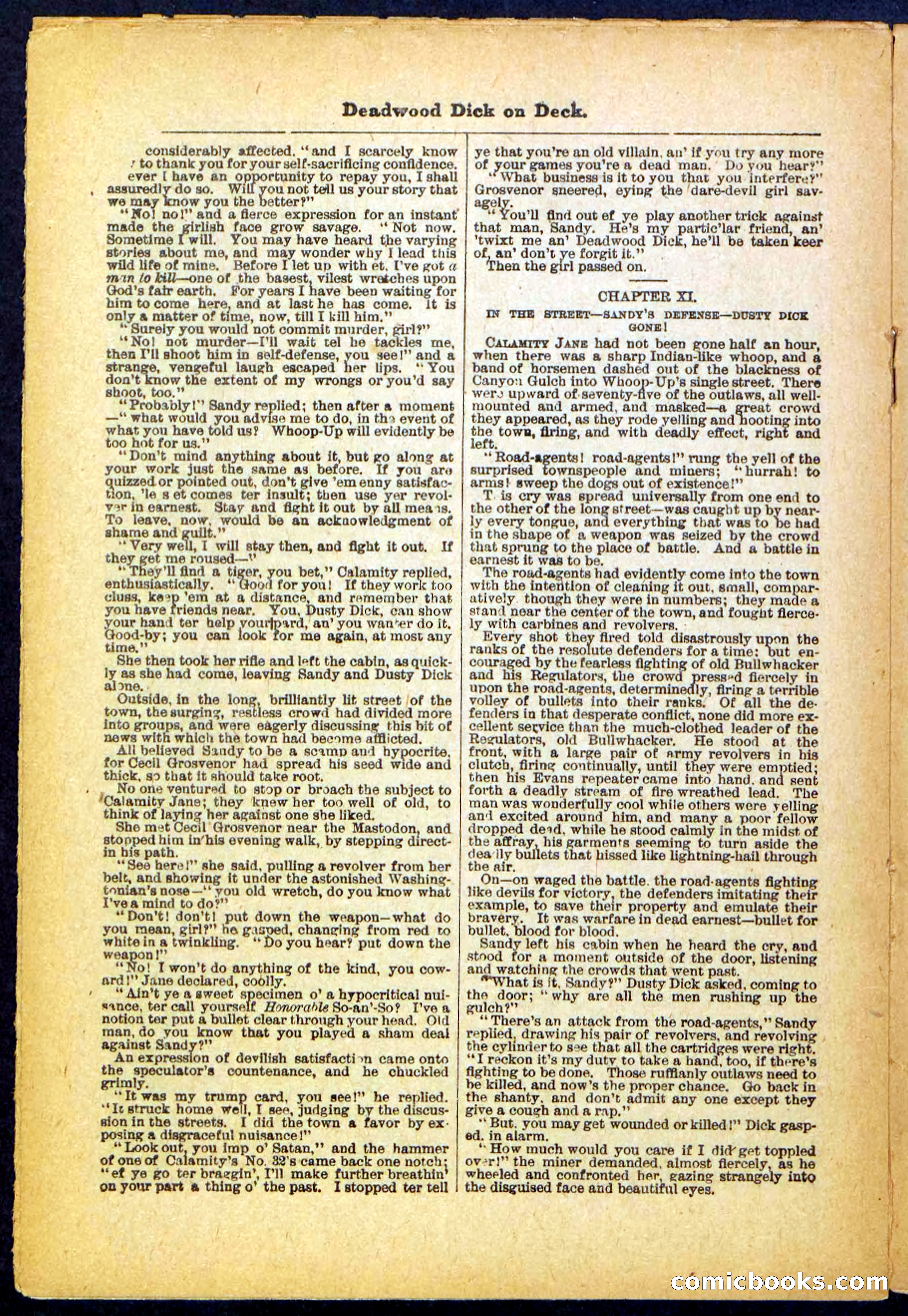 Beadle's Pocket Library, No. 57 — page 20 of 32