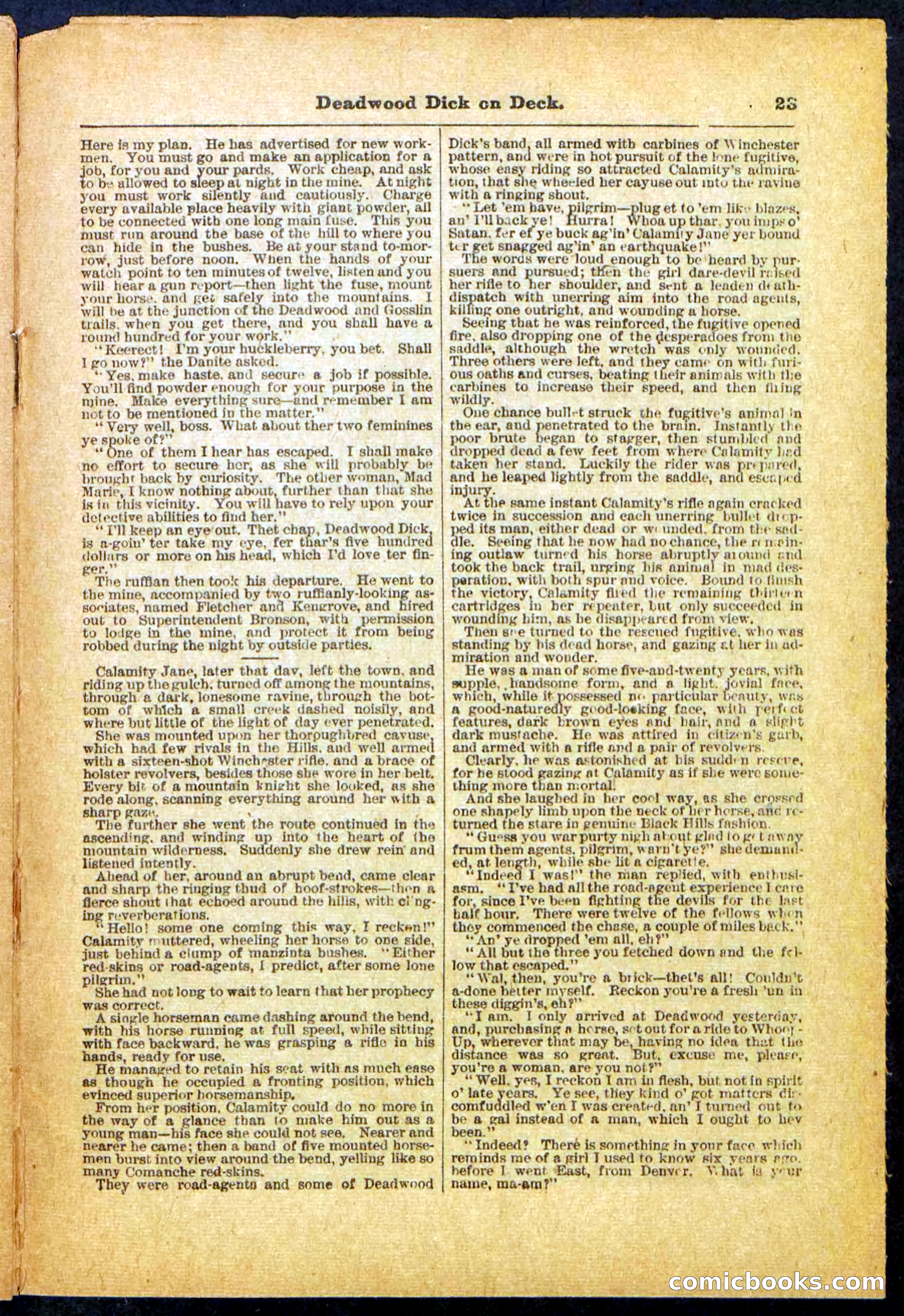 Beadle's Pocket Library, No. 57 — page 23 of 32