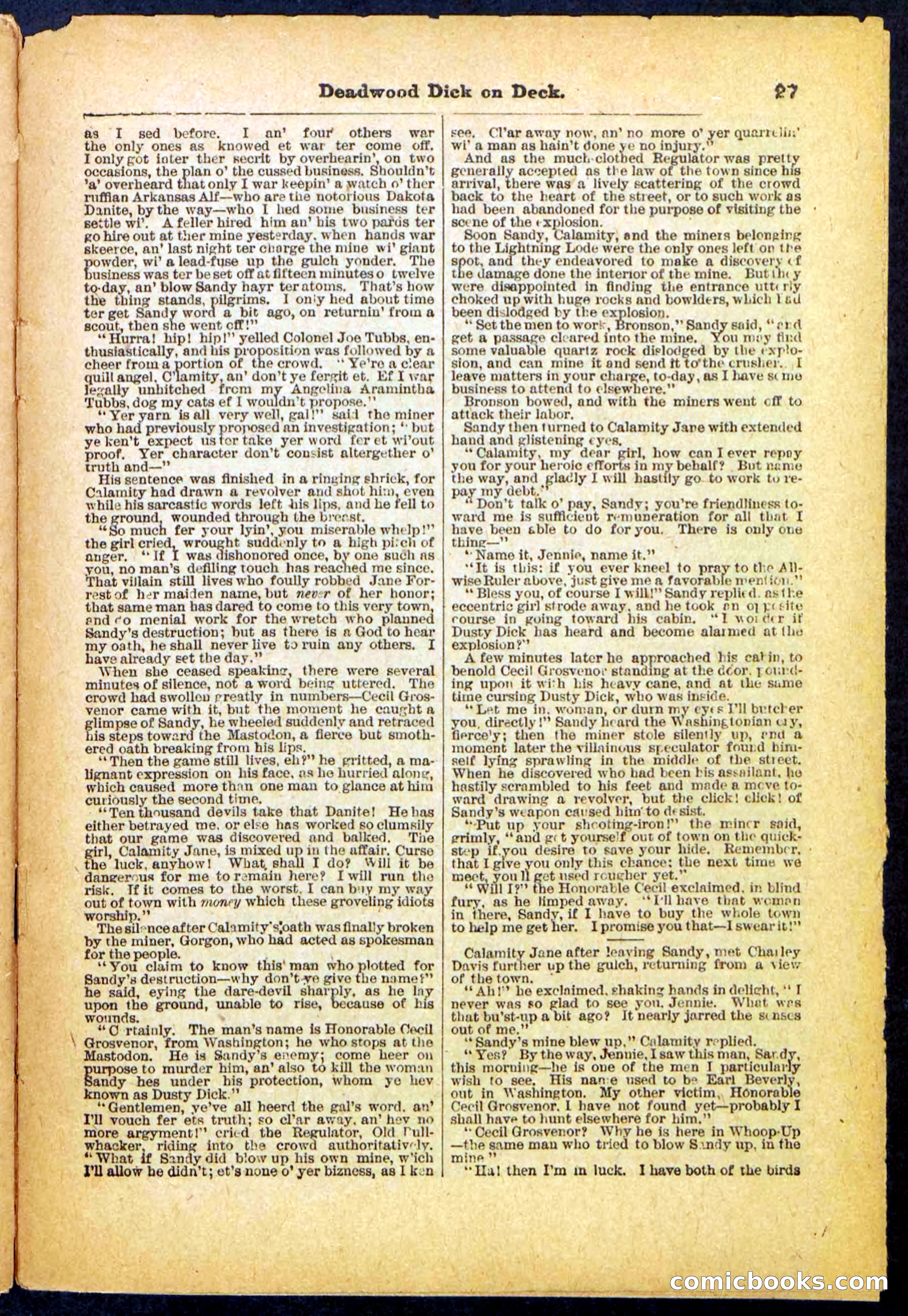 Beadle's Pocket Library, No. 57 — page 27 of 32
